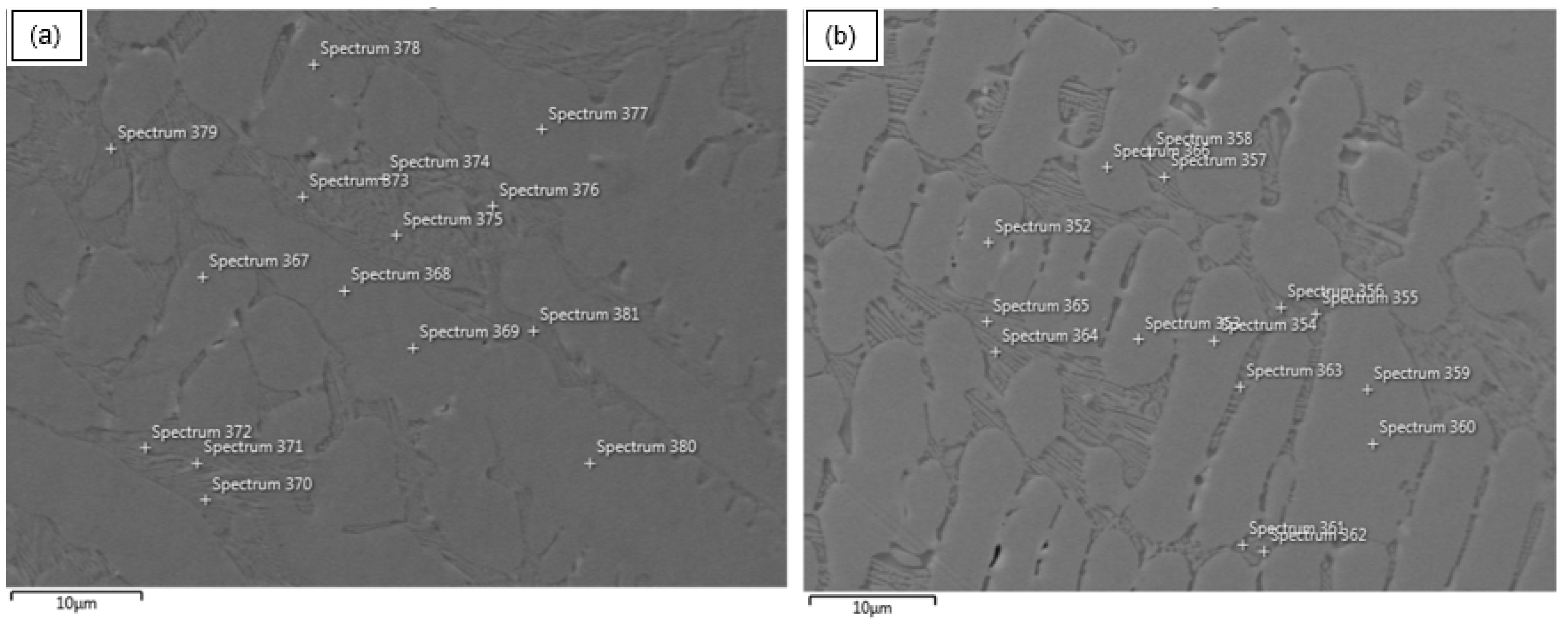 Coatings 14 01591 g003
