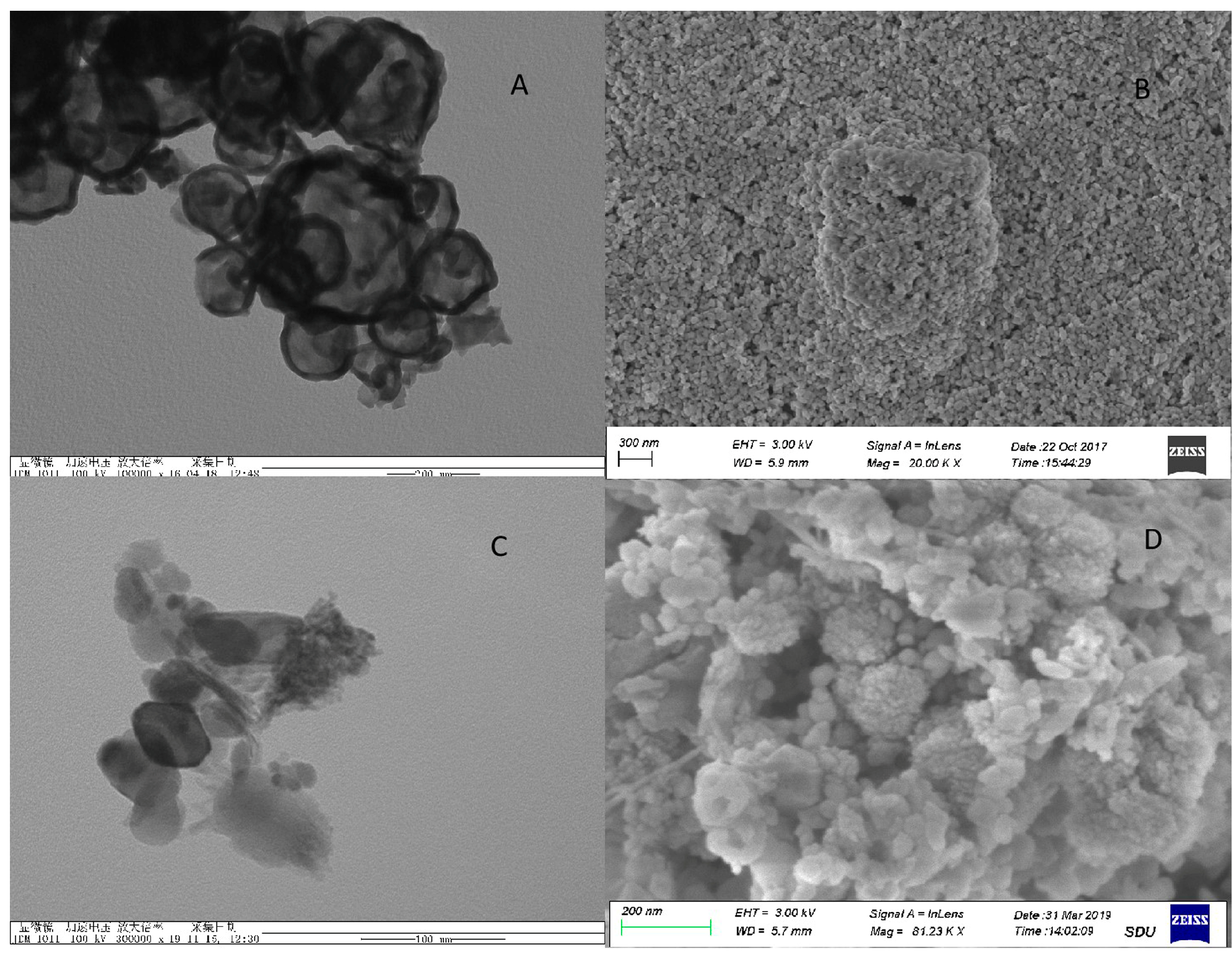 Coatings 14 01595 g001
