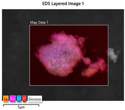 Coatings 14 01595 i002