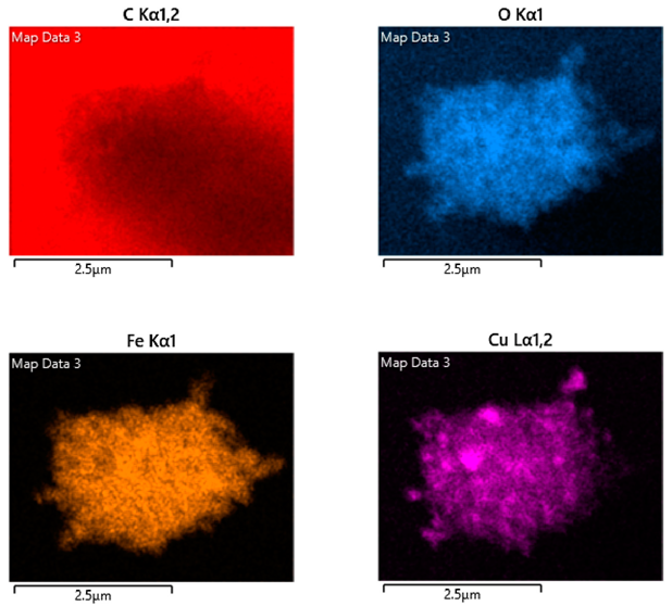 Coatings 14 01595 i011