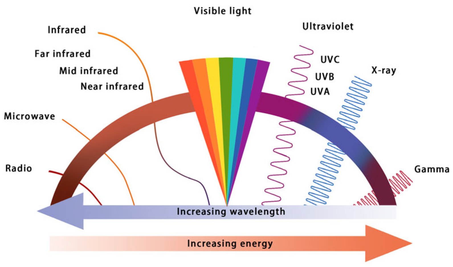 Coatings 14 01600 g001