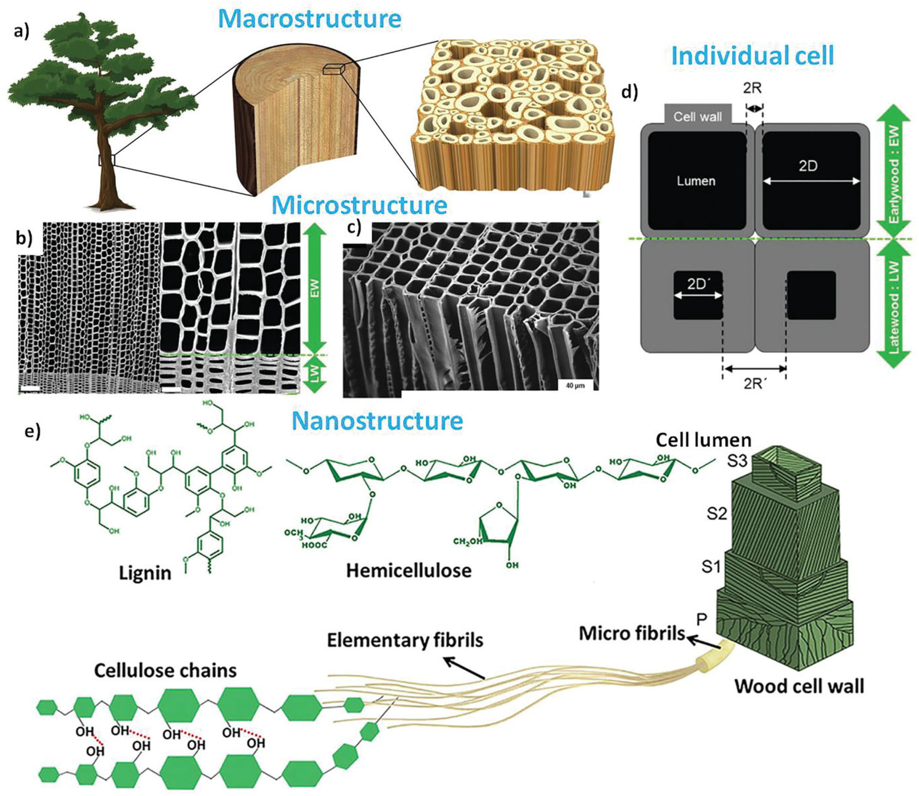 Coatings 14 01600 g002