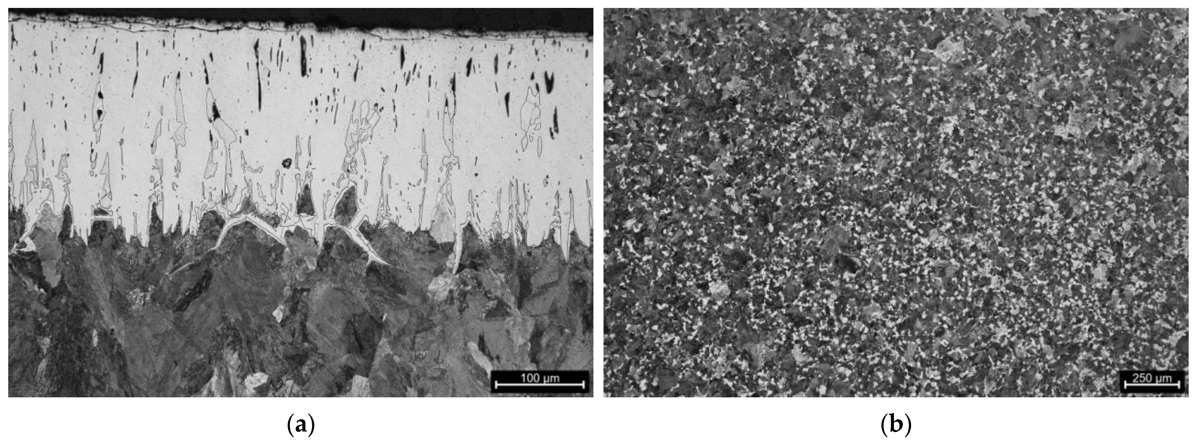 Coatings 14 01602 g010