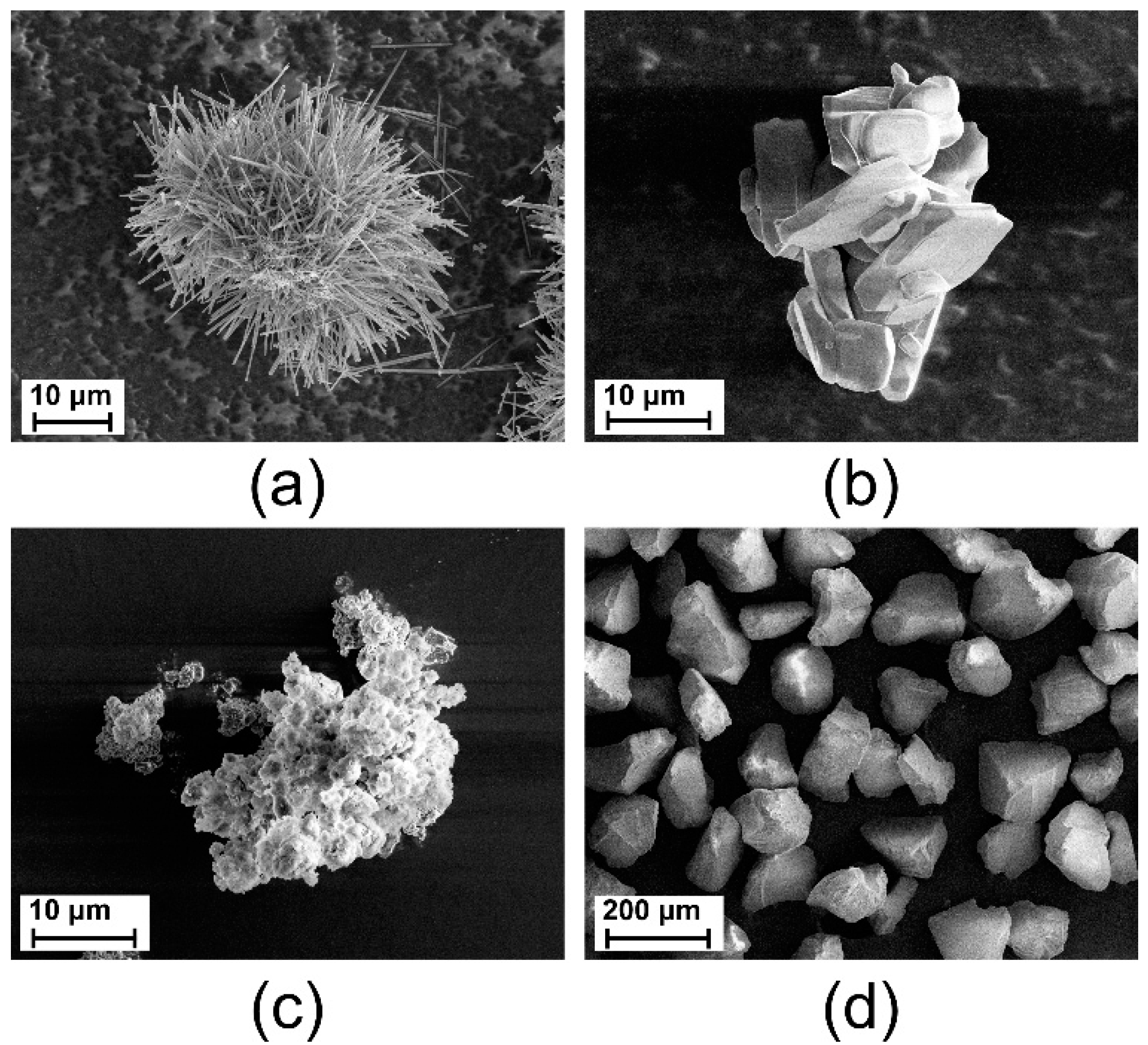 Coatings 14 01603 g002 Coatings 14 01603 g002
