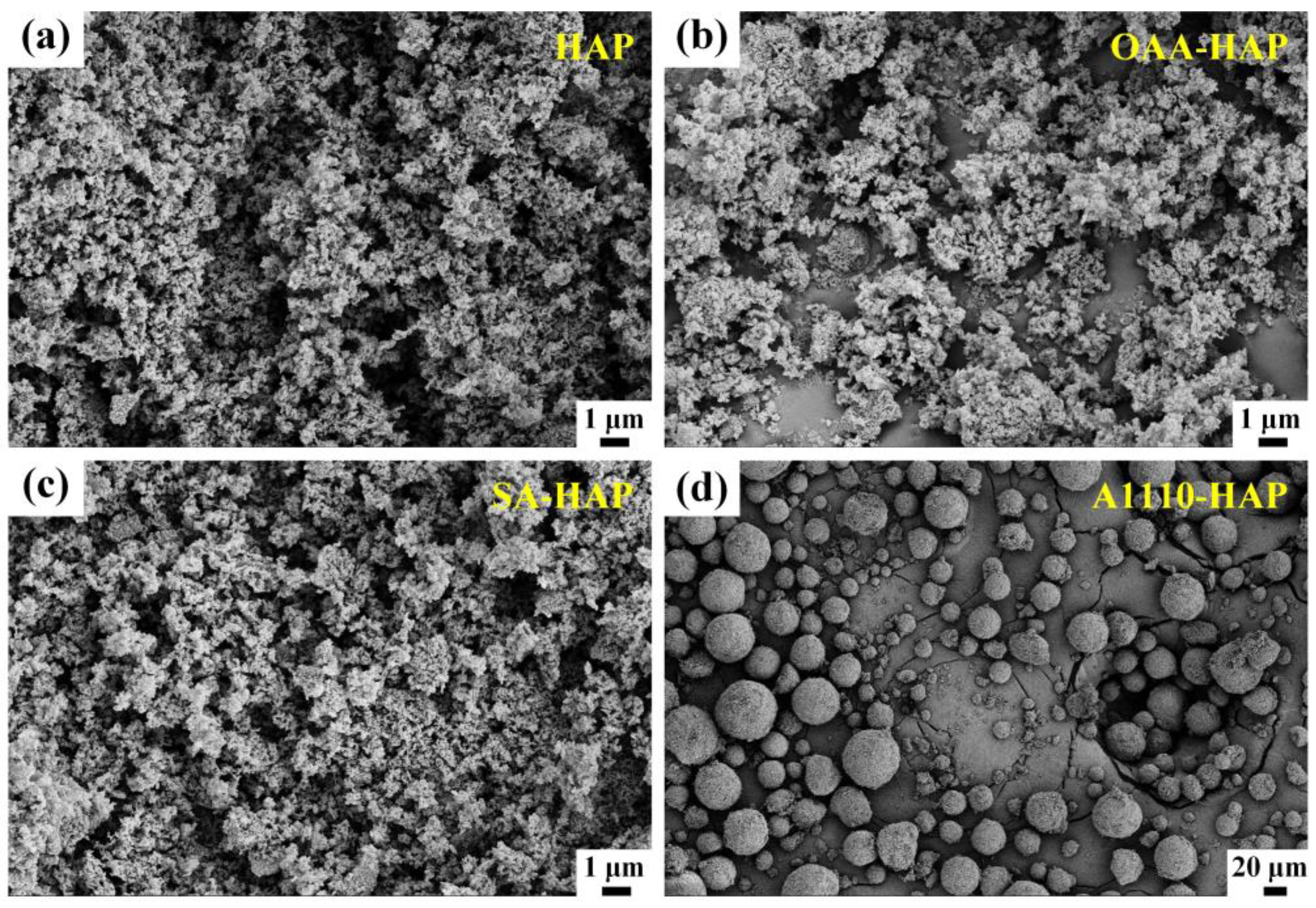 Coatings 14 01605 g001