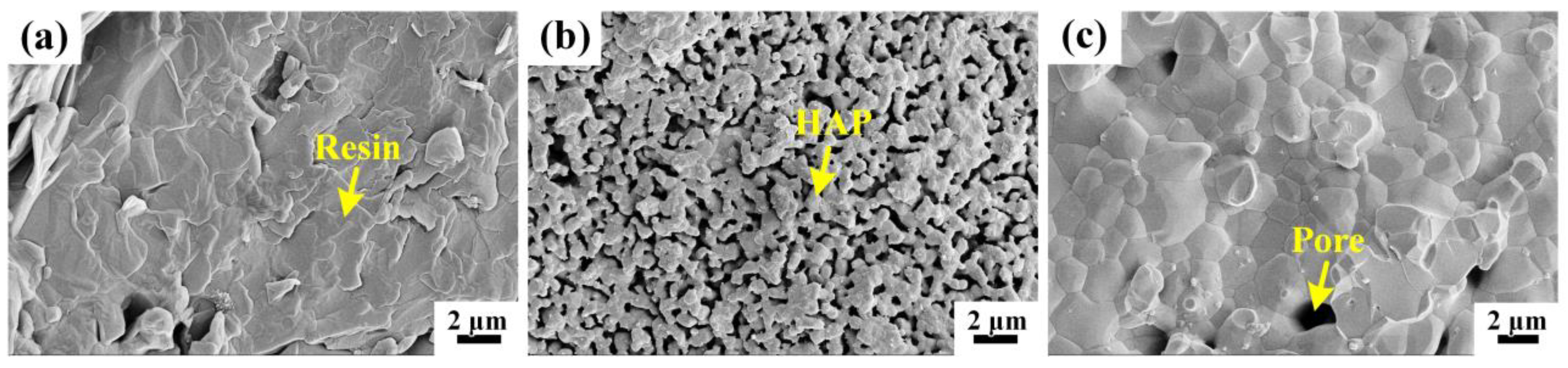 Coatings 14 01605 g007