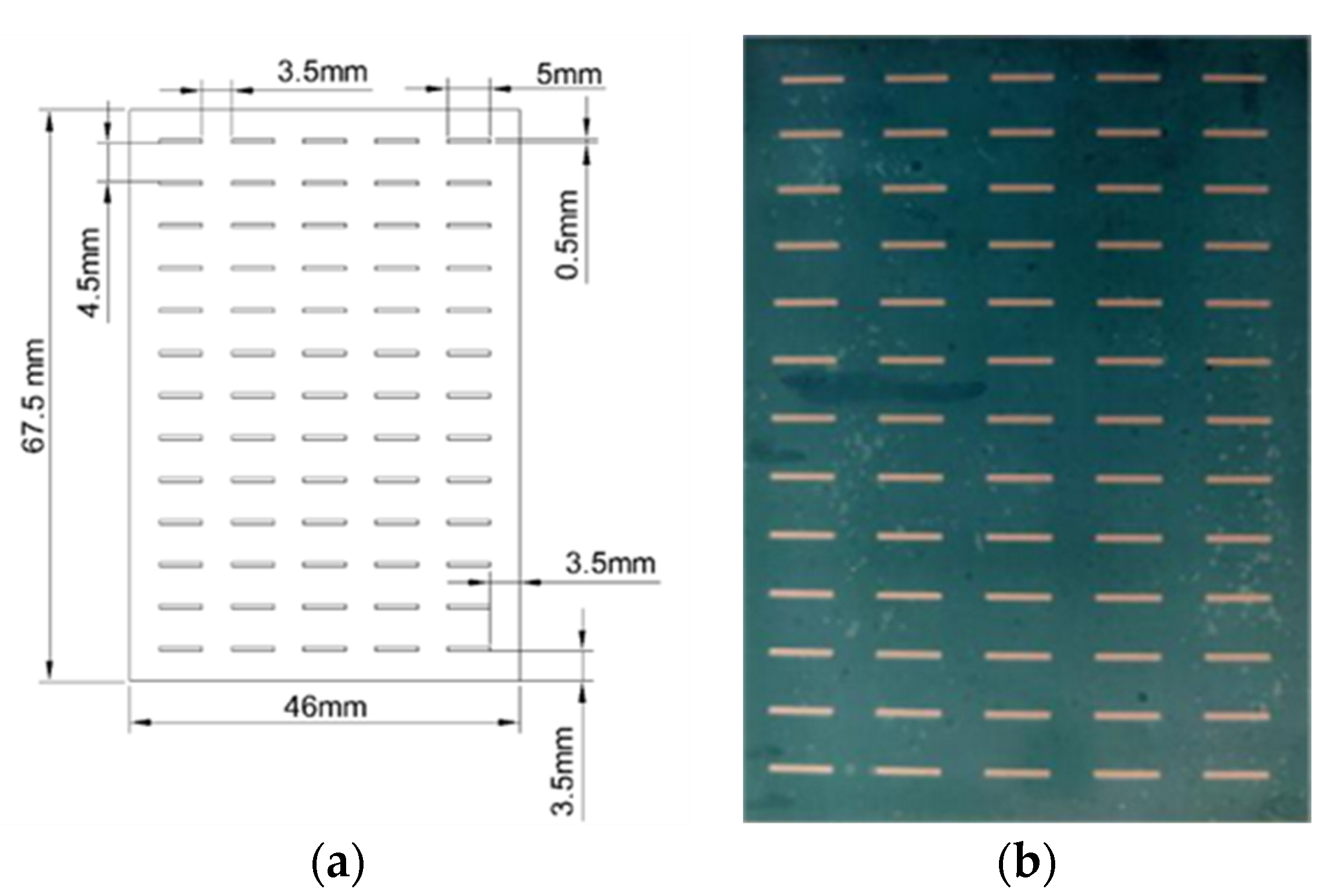 Coatings 14 01606 g004