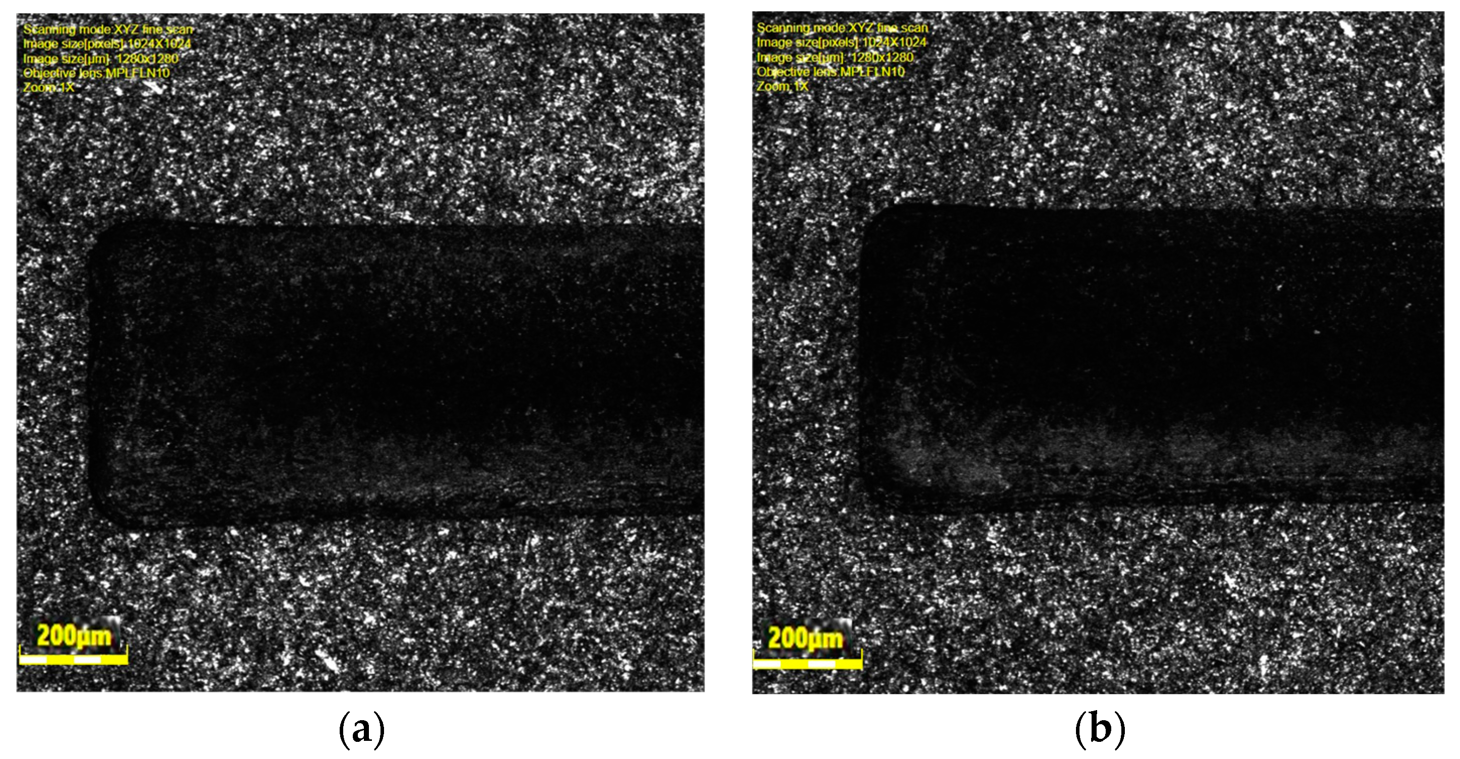 Coatings 14 01606 g010