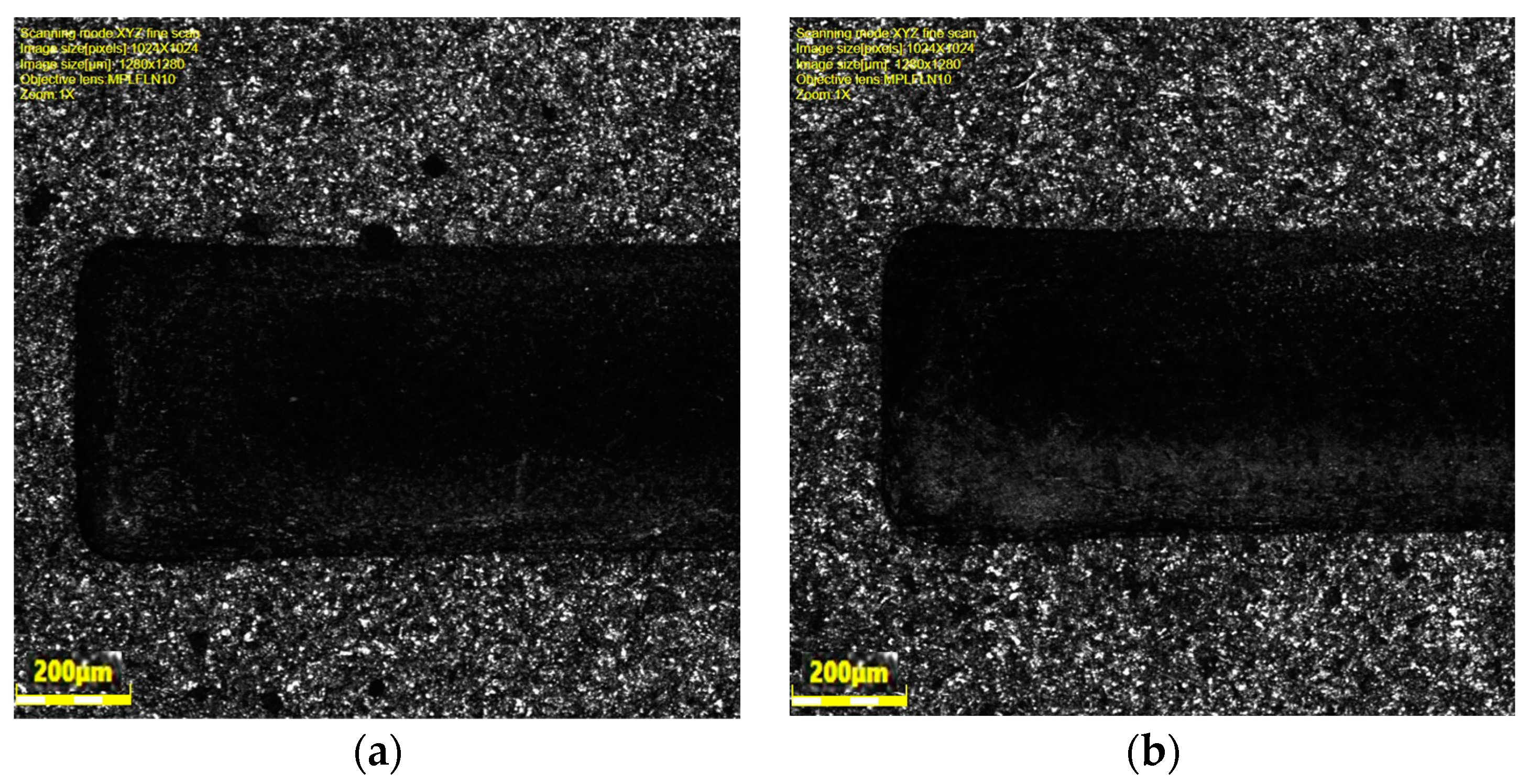 Coatings 14 01606 g013