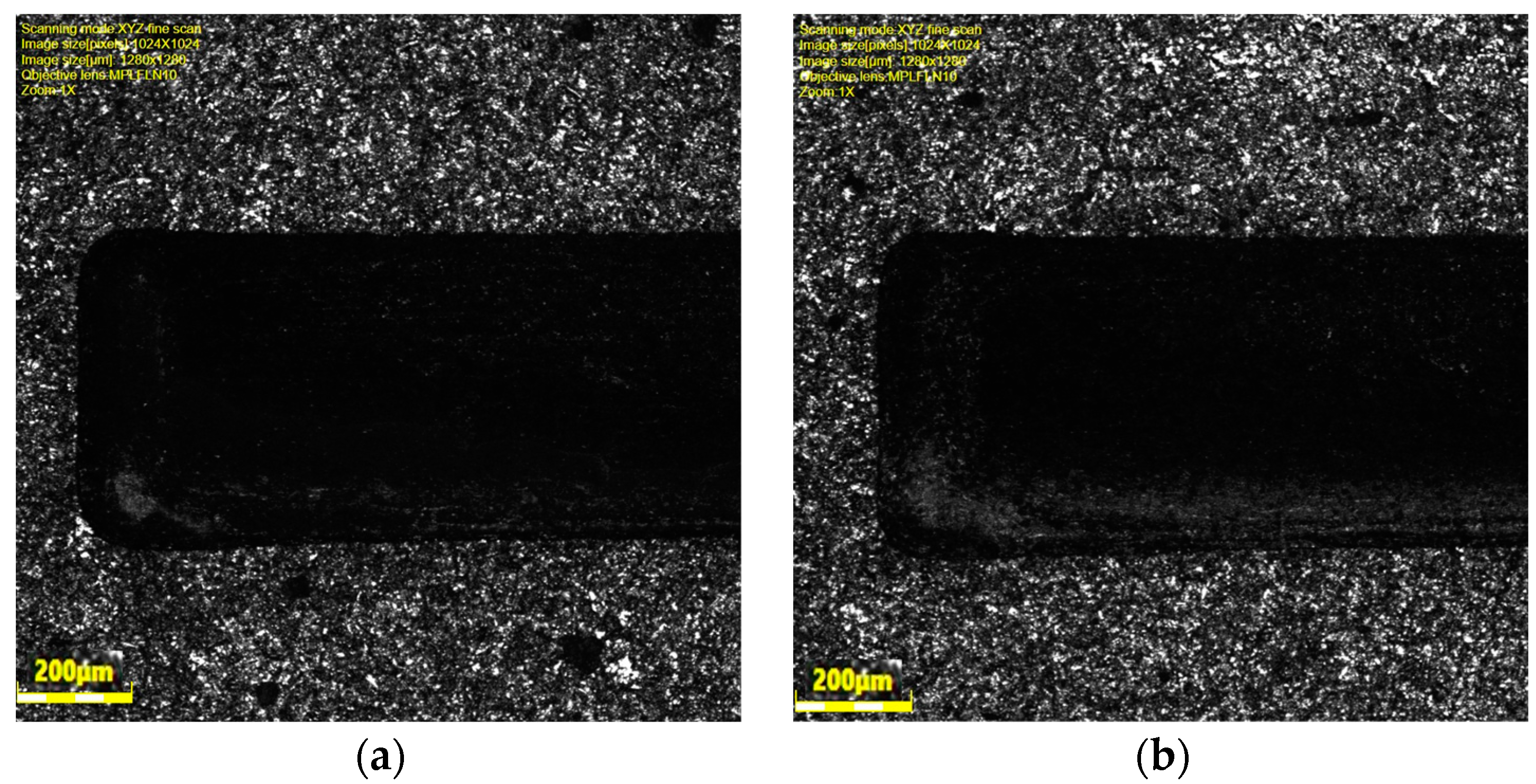 Coatings 14 01606 g016