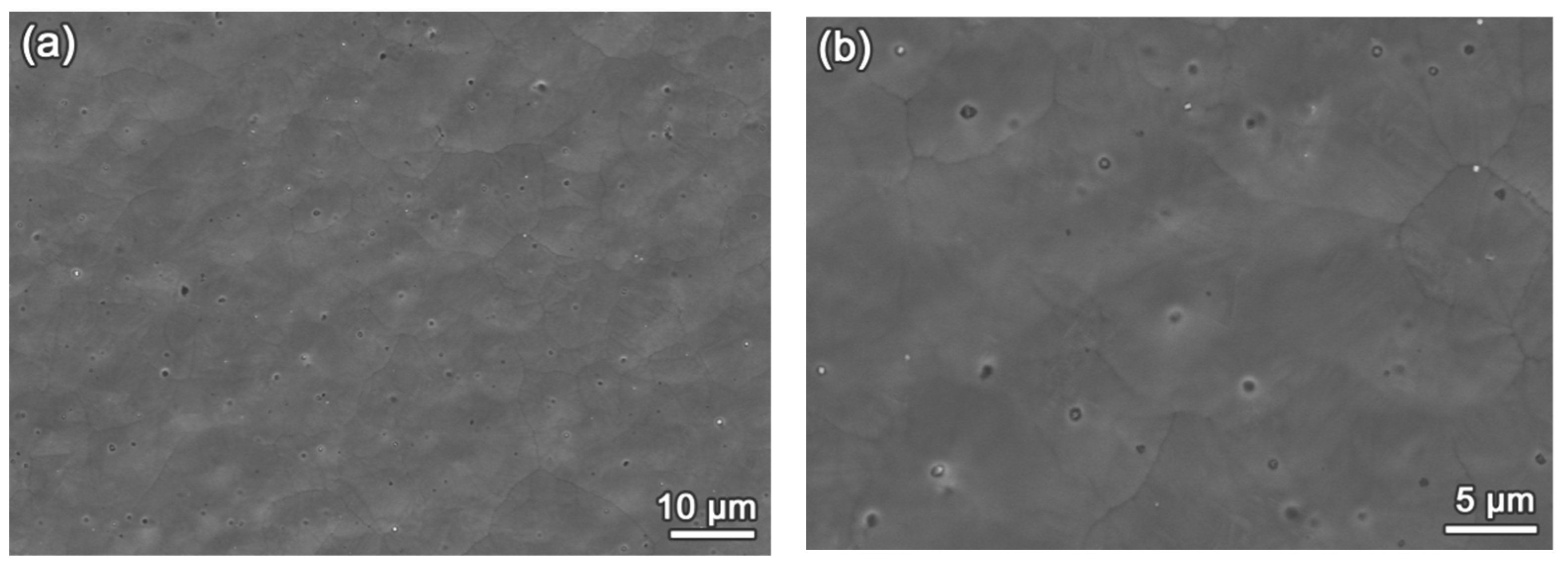 Coatings 14 01608 g002