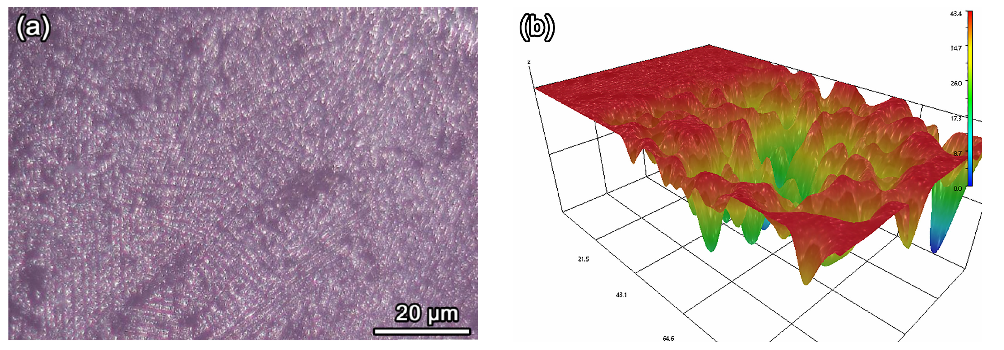 Coatings 14 01608 g007a
