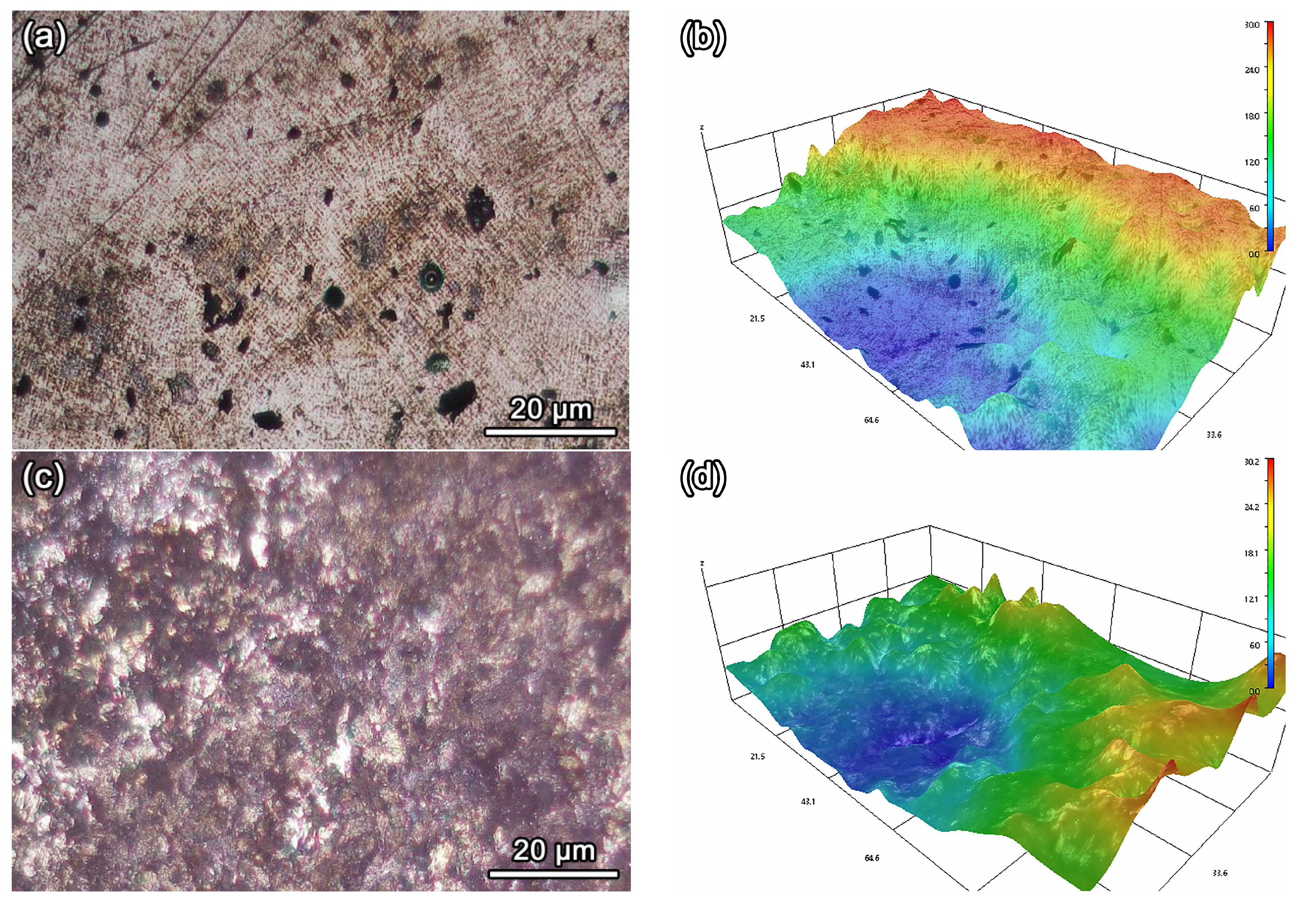 Coatings 14 01608 g008