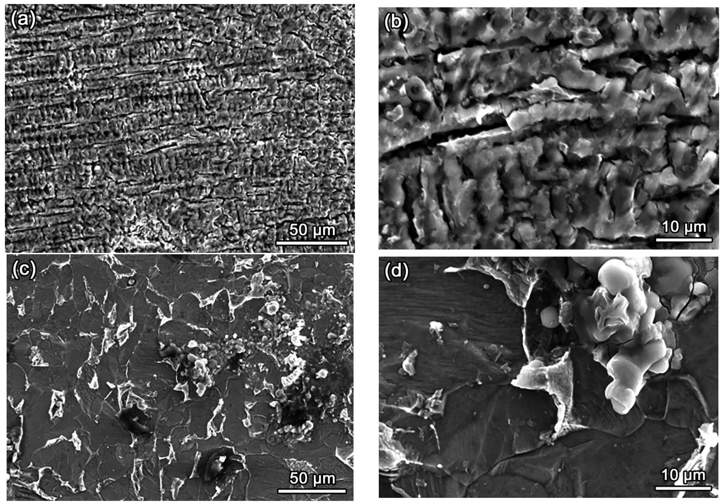 Coatings 14 01608 g010