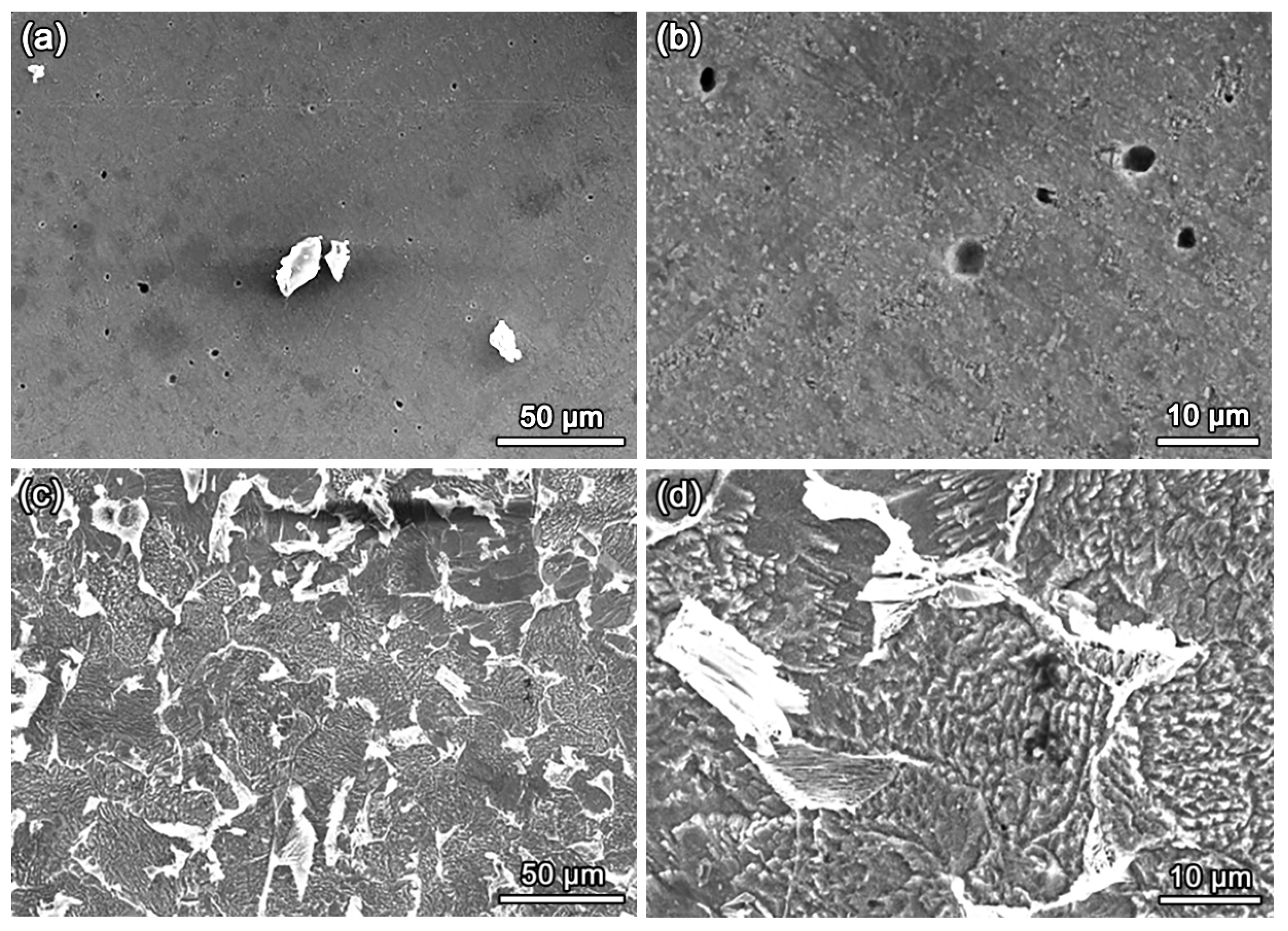 Coatings 14 01608 g011
