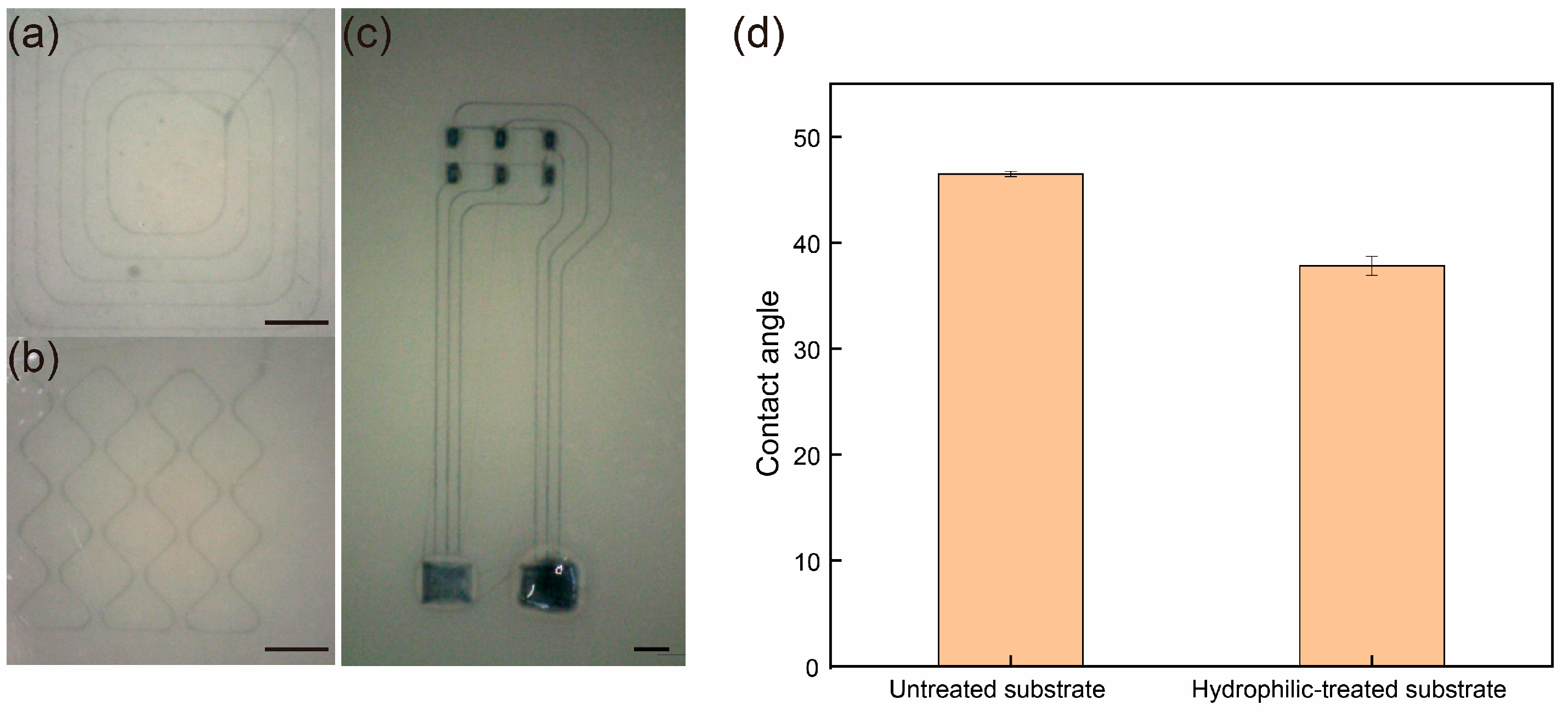Coatings 14 01610 g005