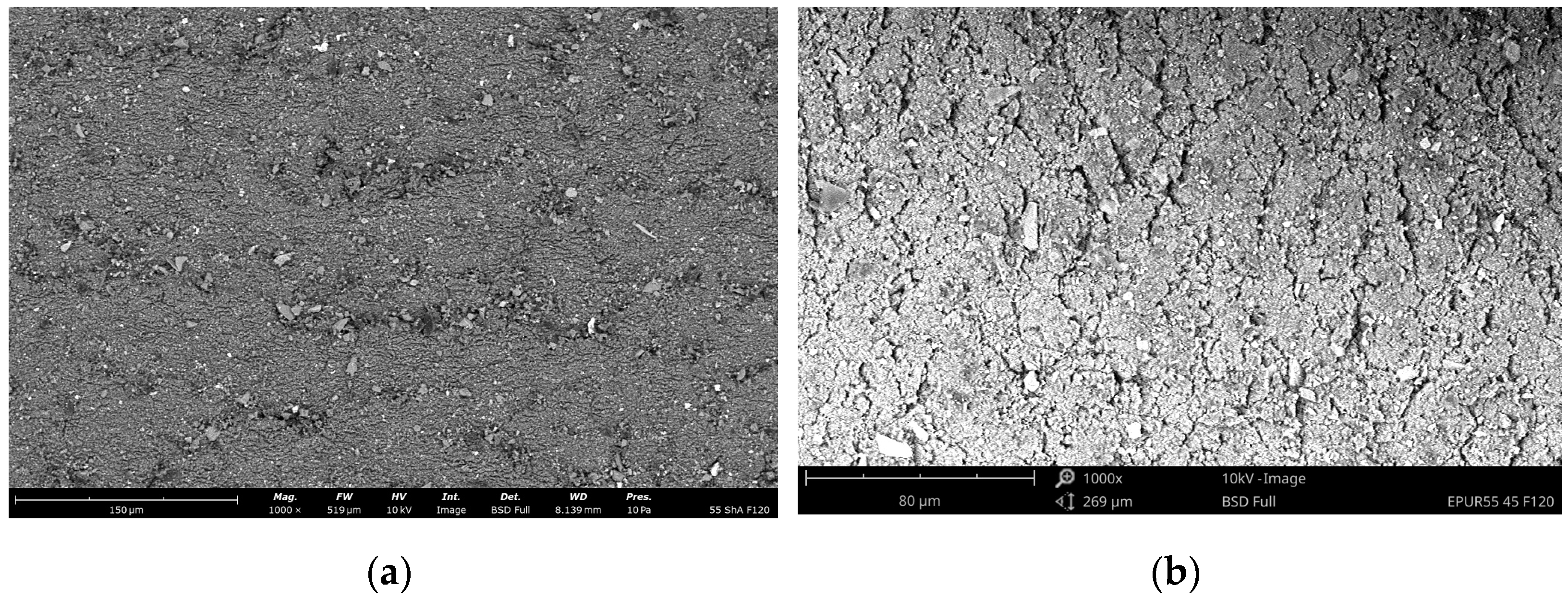 Coatings 14 01611 g009a