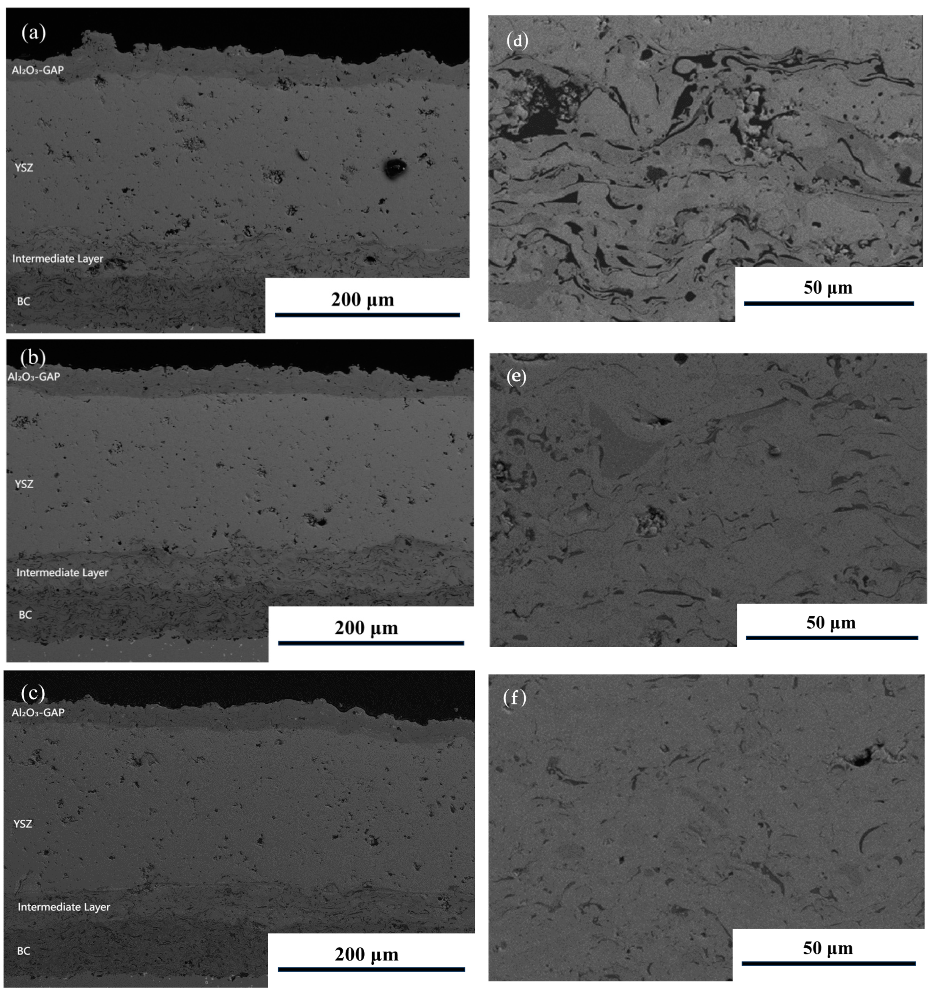 Coatings 14 01614 g002