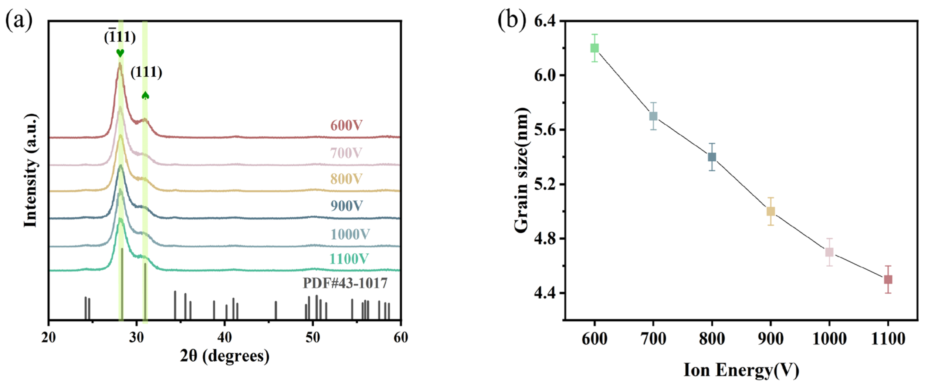 Coatings 14 01616 g002