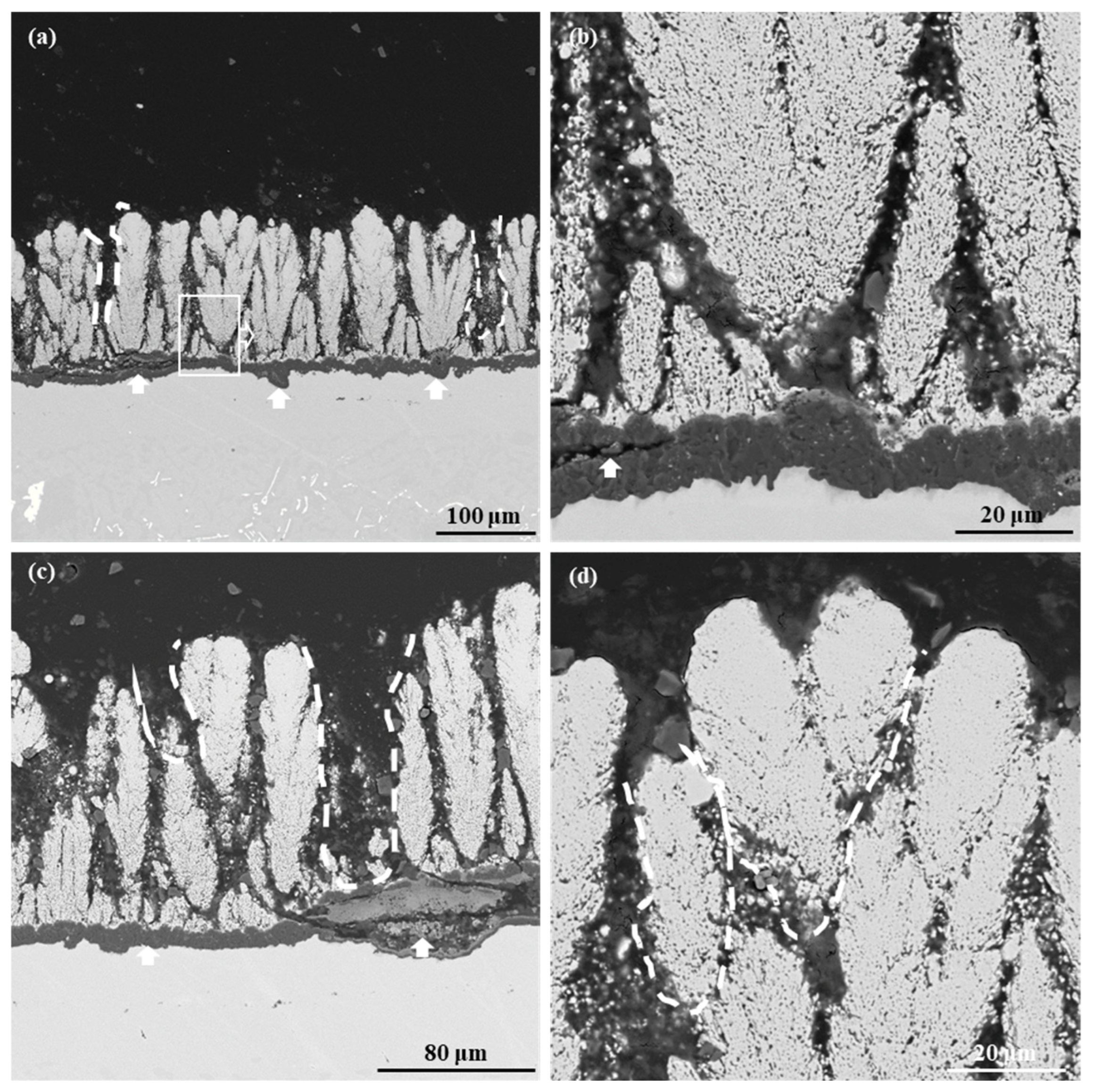 Coatings 15 00013 g004
