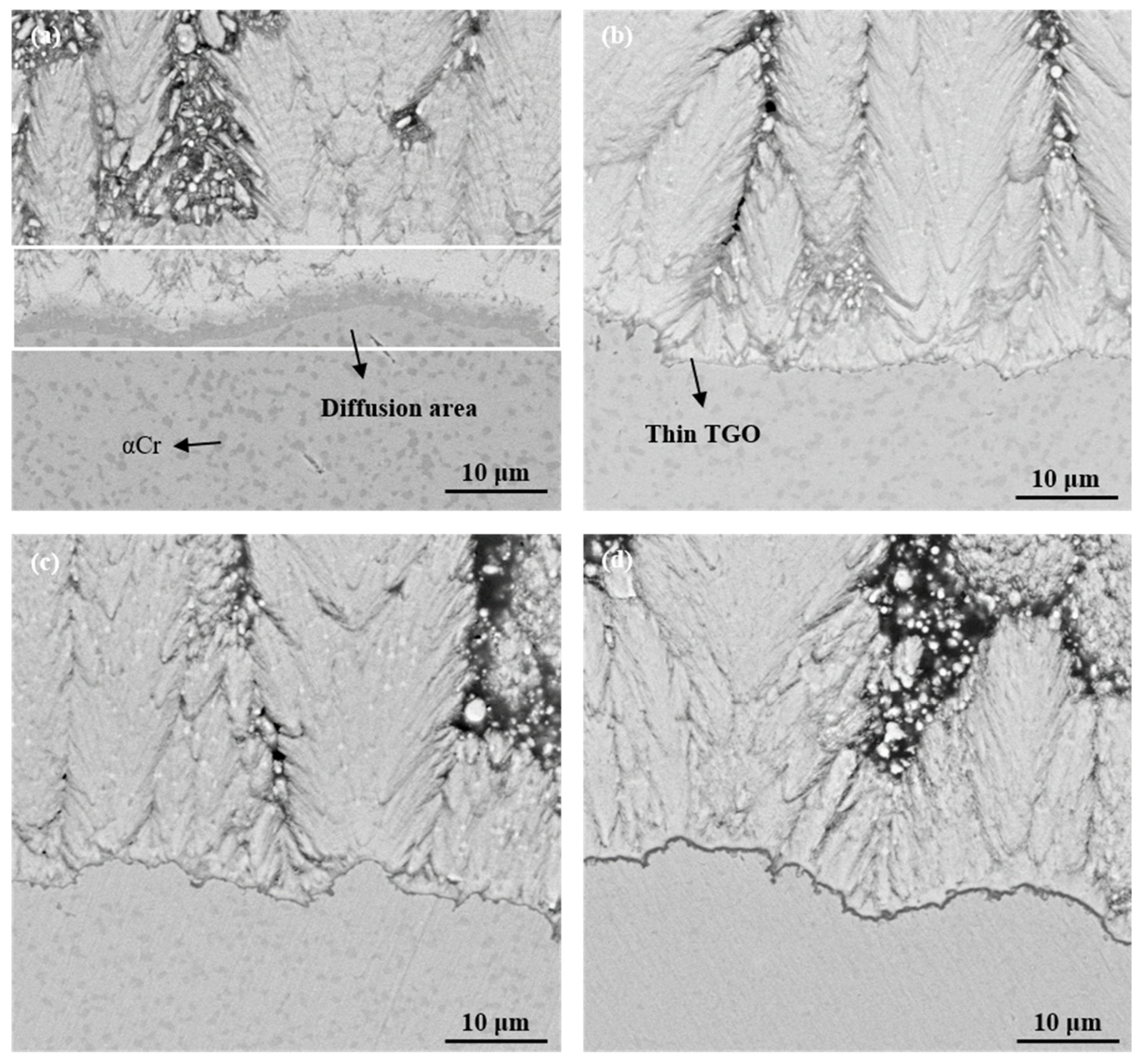 Coatings 15 00013 g008