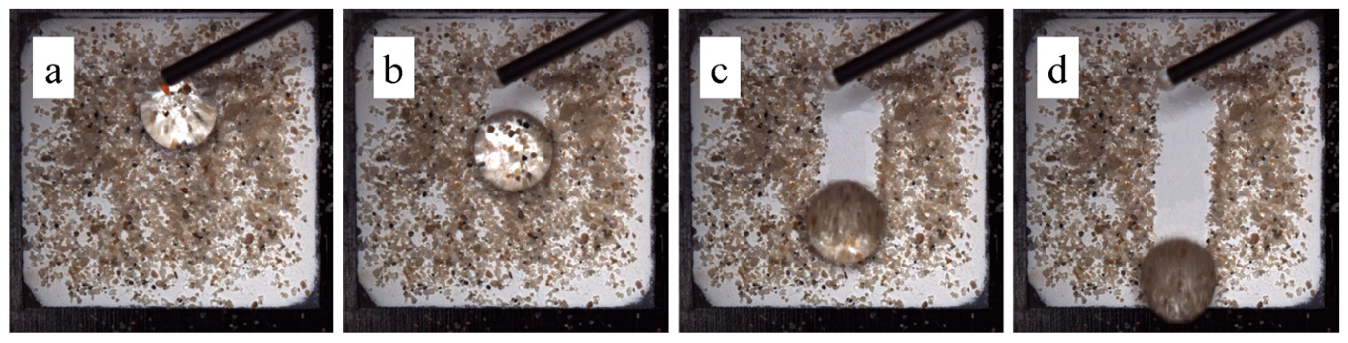 Coatings 15 00016 g009