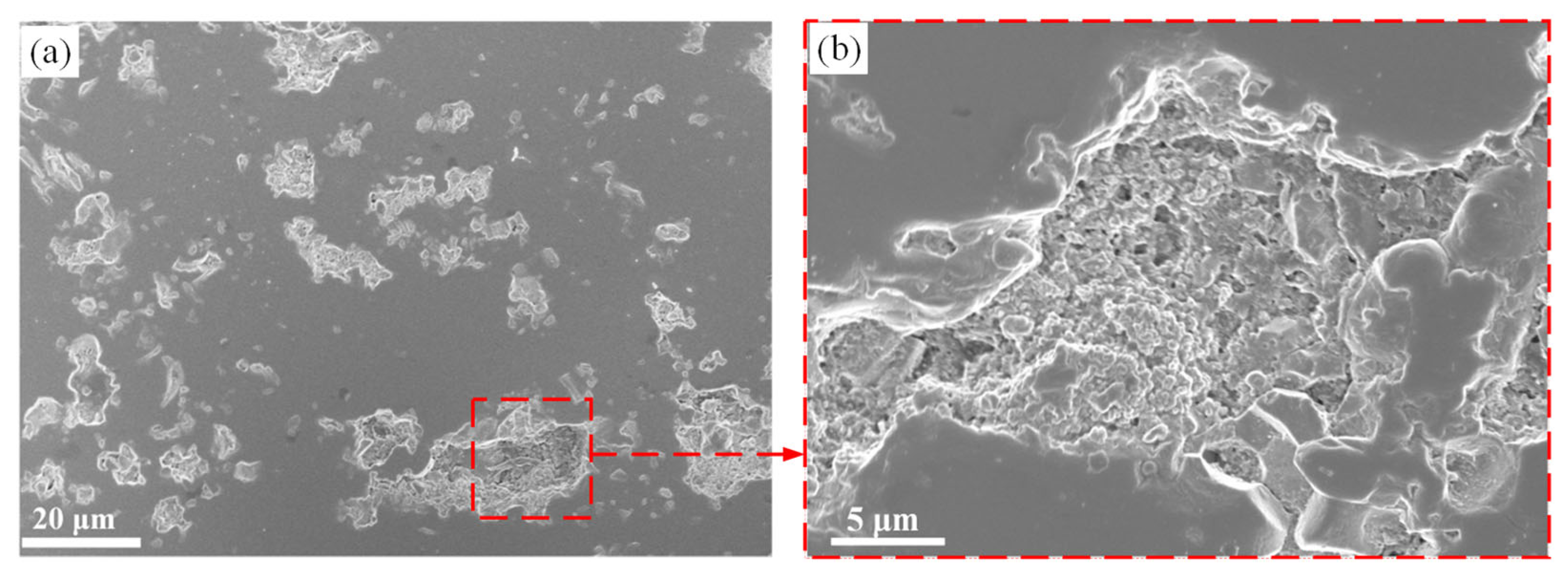 Coatings 15 00024 g006