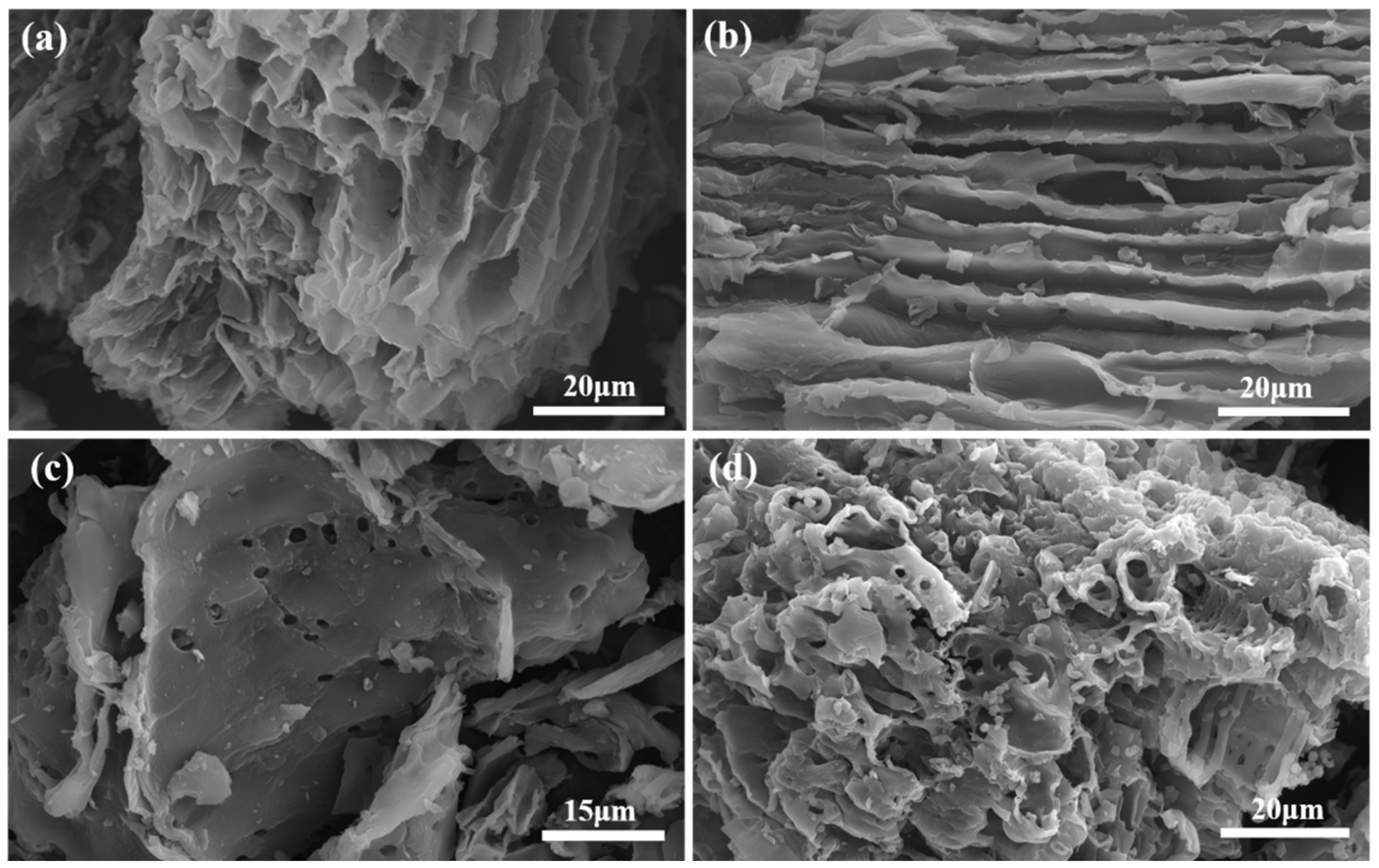 Coatings 15 00025 g012