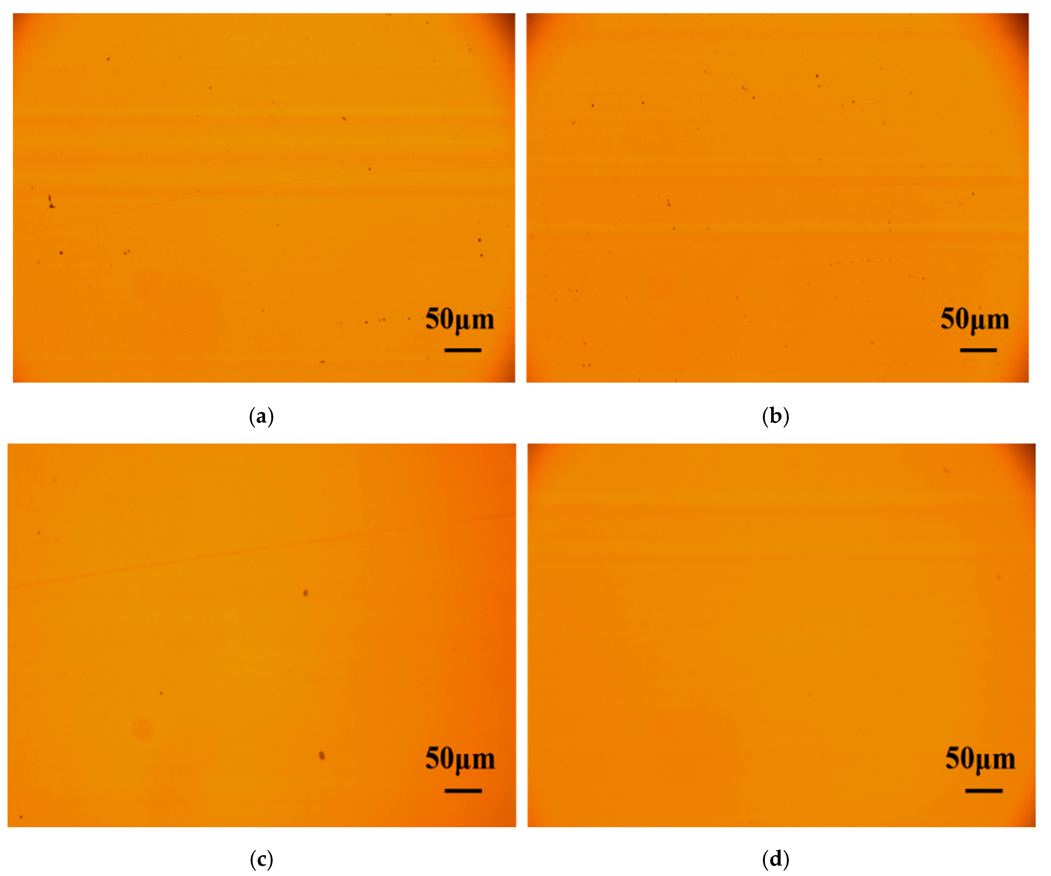 Coatings 15 00026 g004