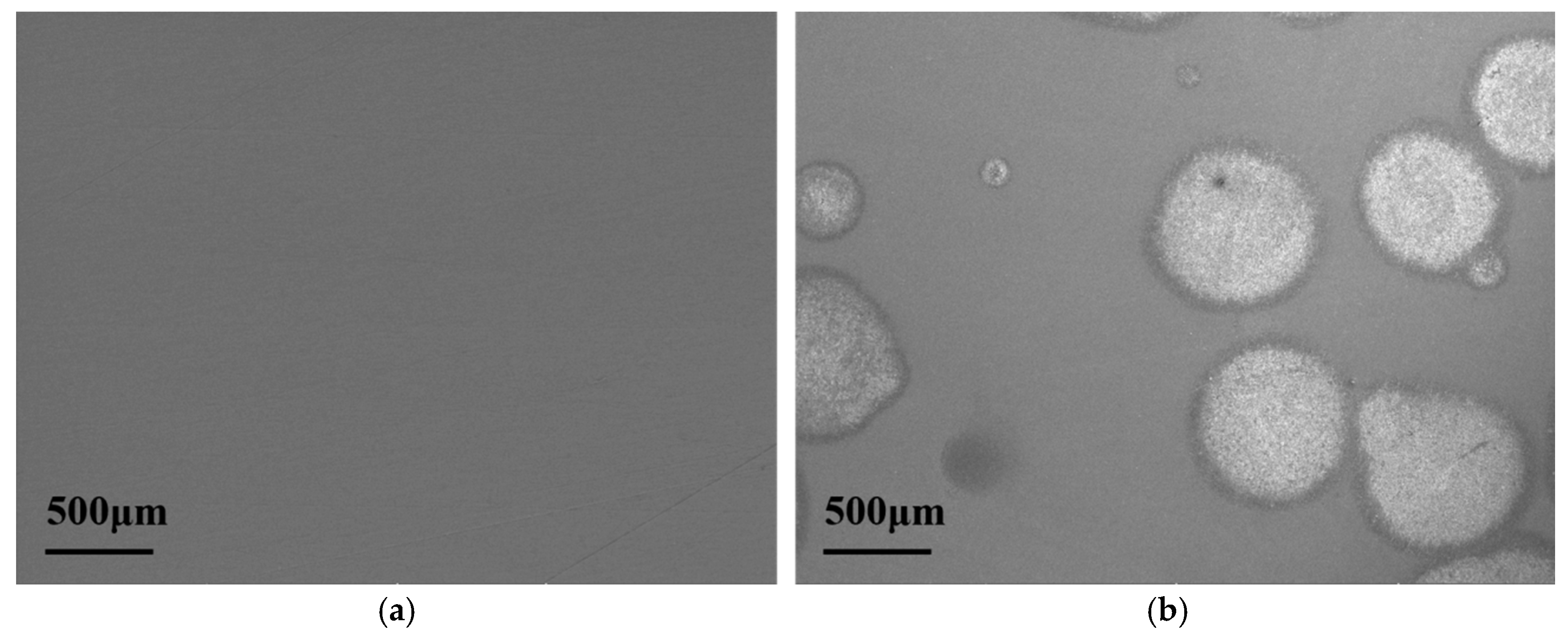 Coatings 15 00026 g013