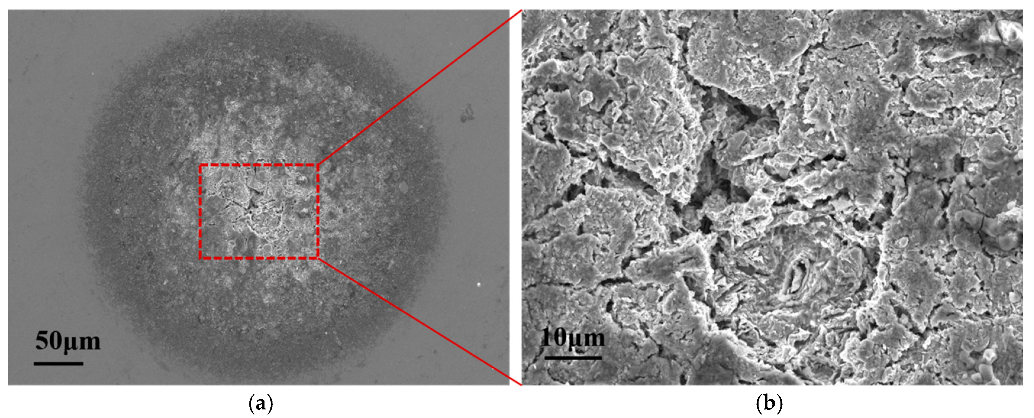 Coatings 15 00026 g014