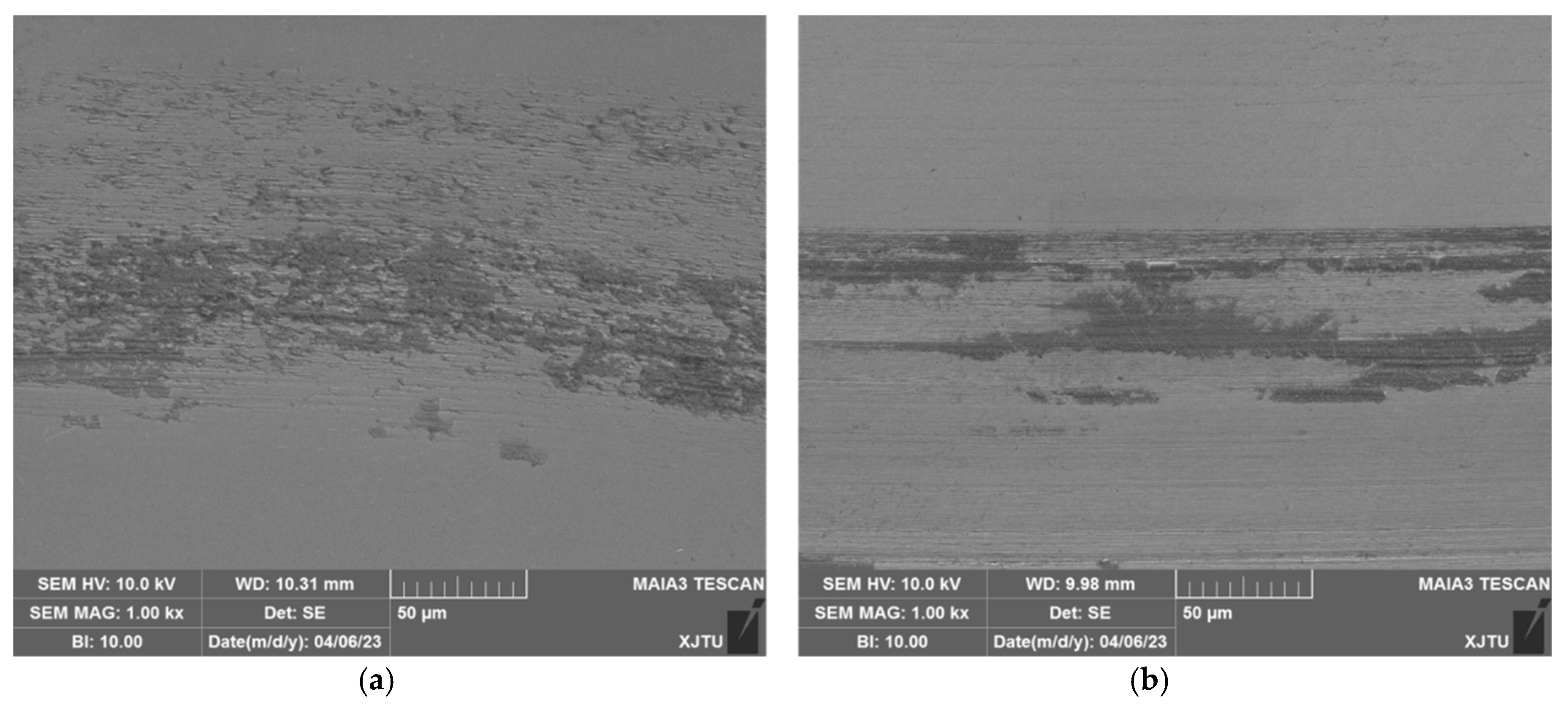 Coatings 15 00026 g017