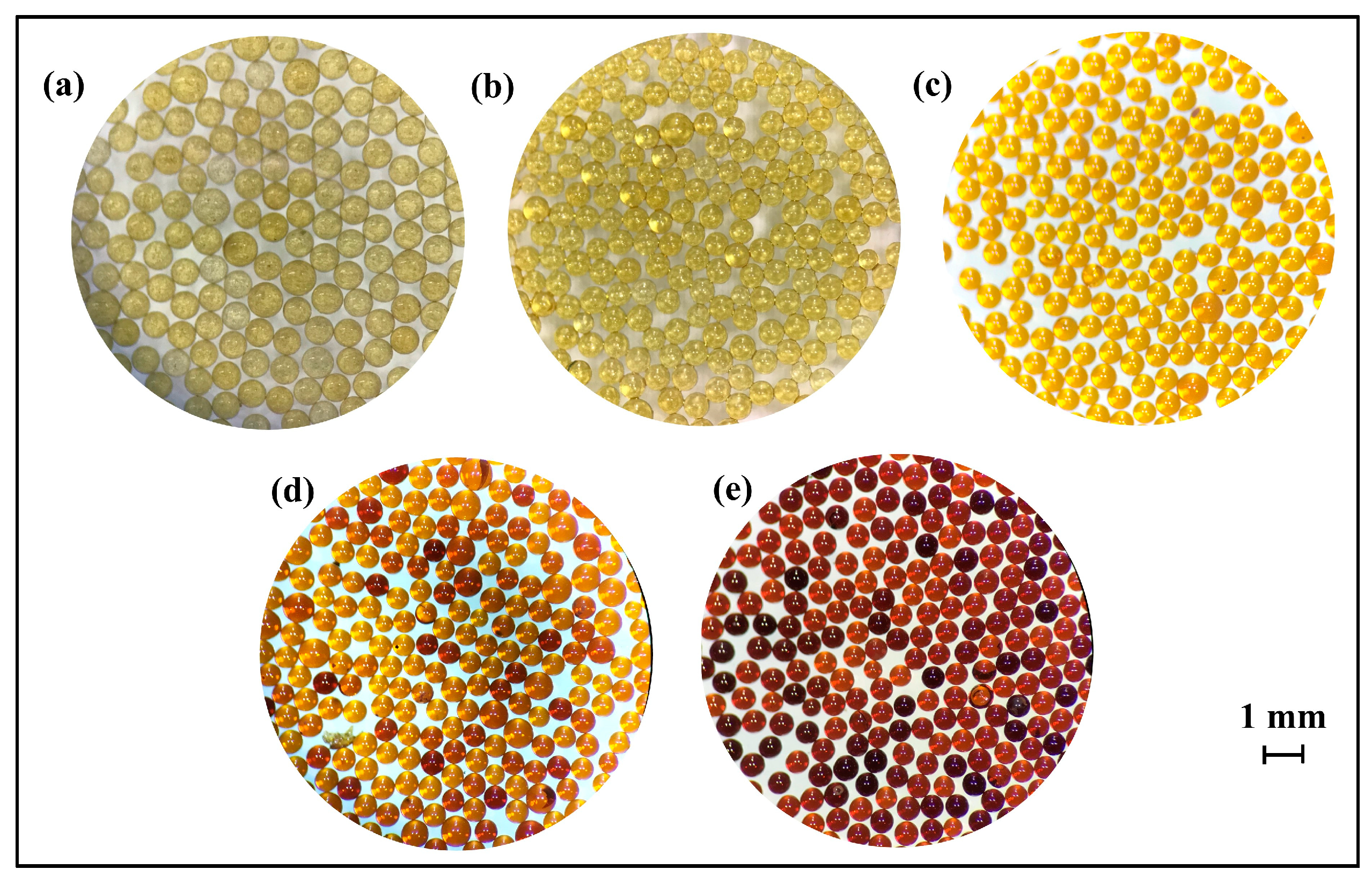 Coatings 15 00027 g001
