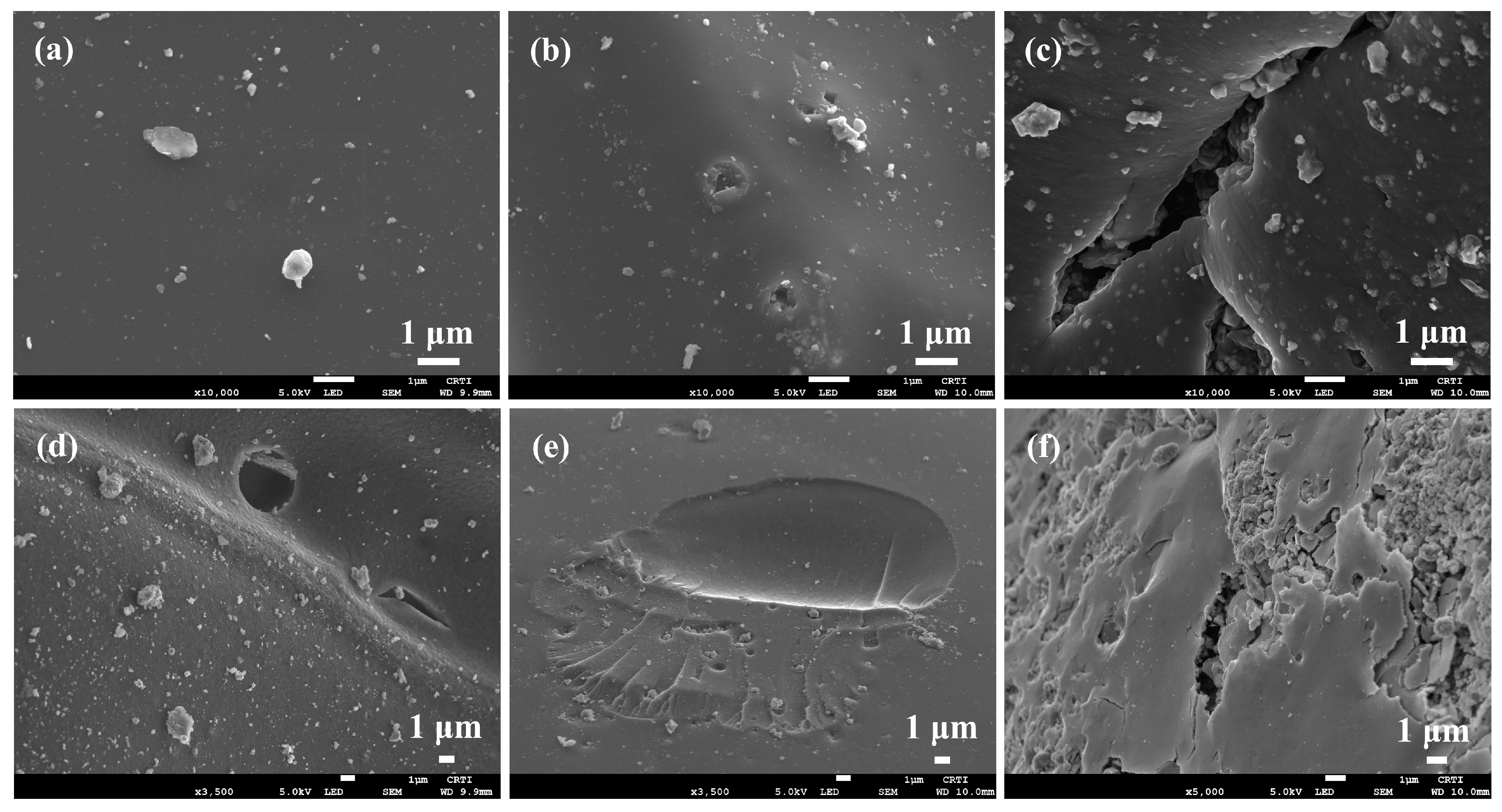 Coatings 15 00027 g004