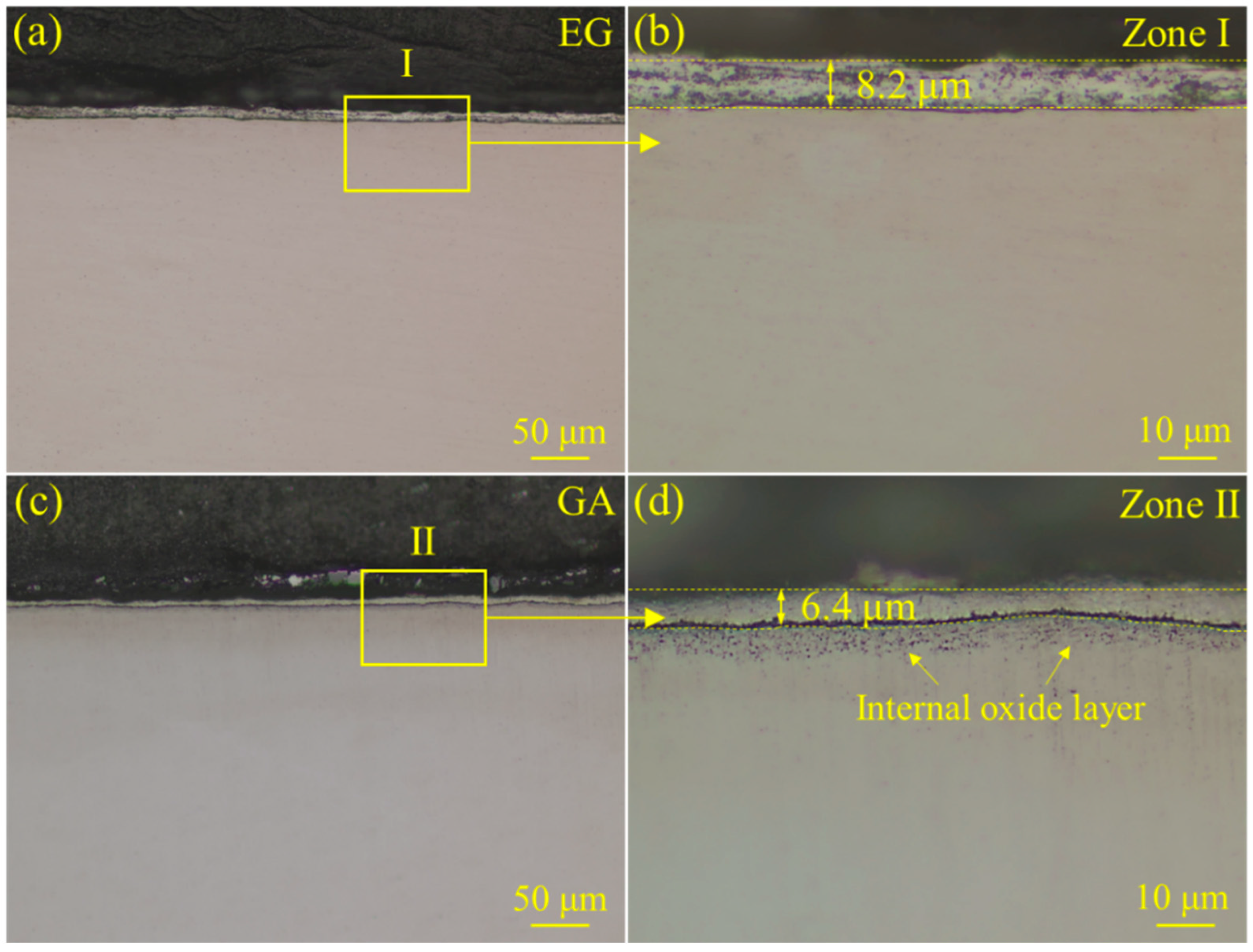 Coatings 15 00028 g014