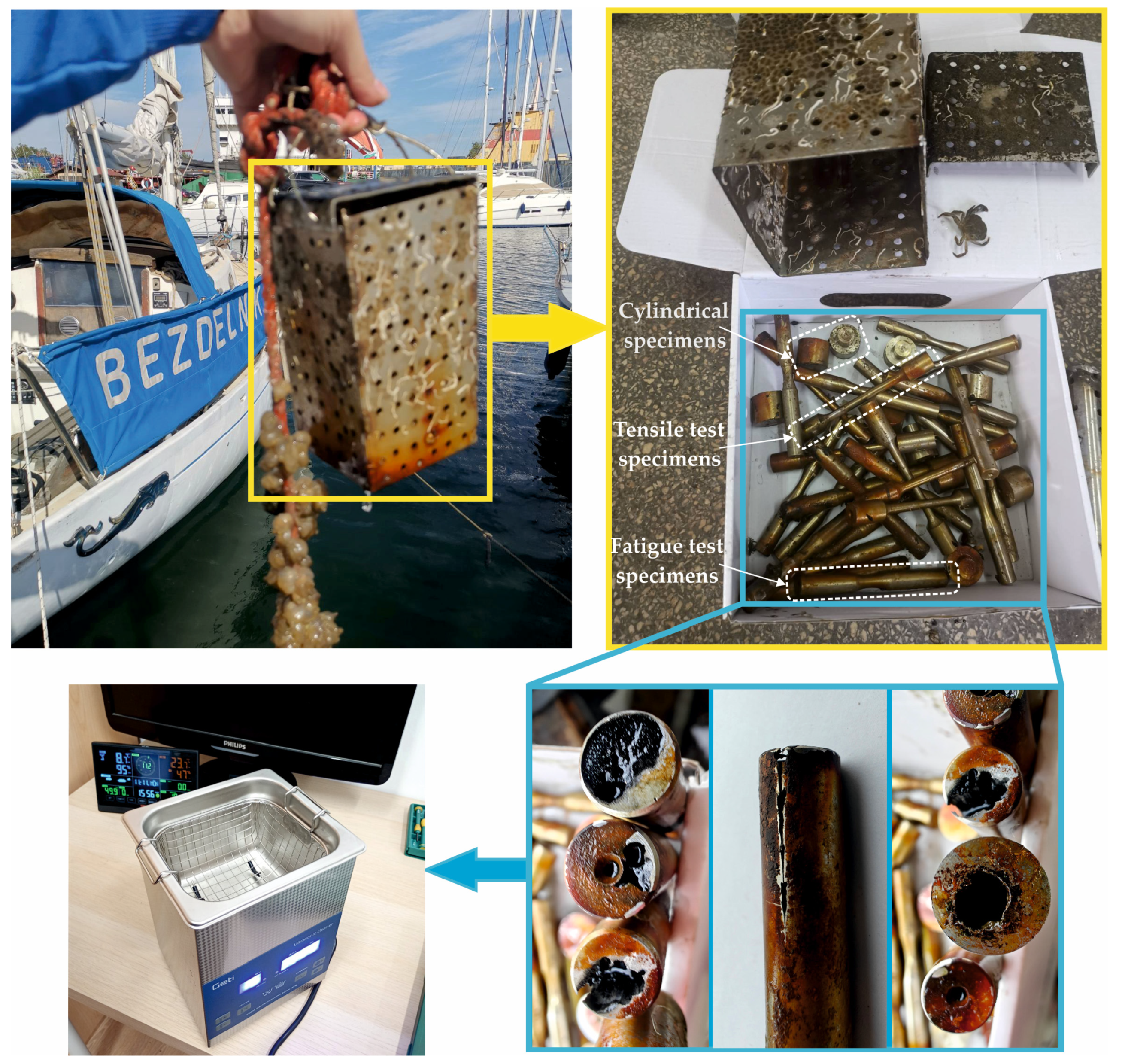 Coatings 15 00031 g002