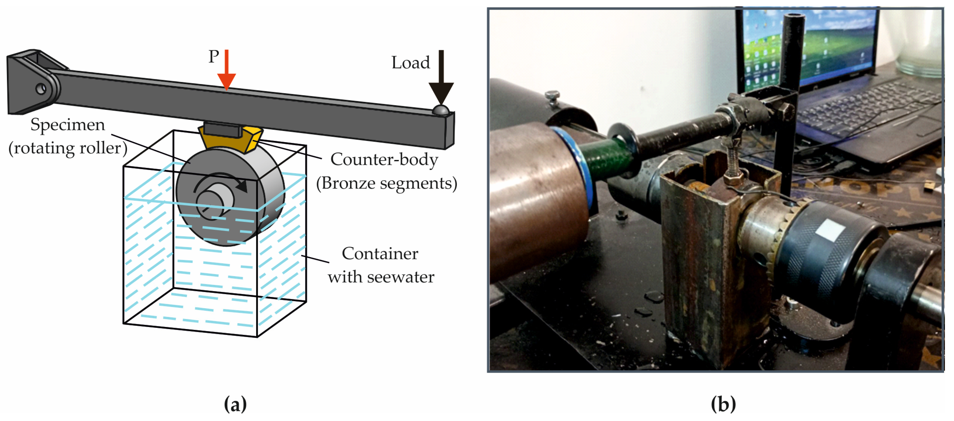 Coatings 15 00031 g003