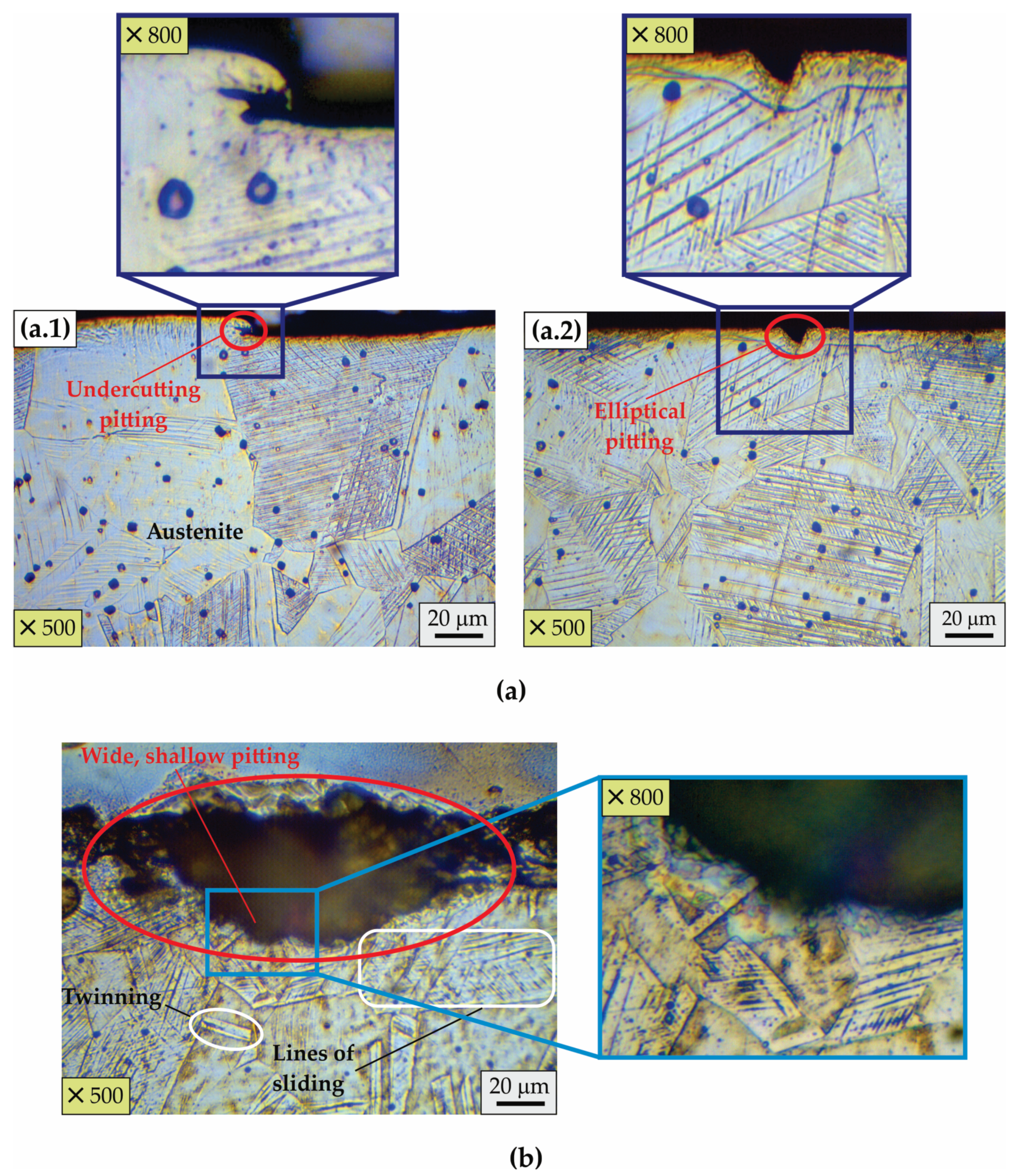 Coatings 15 00031 g006