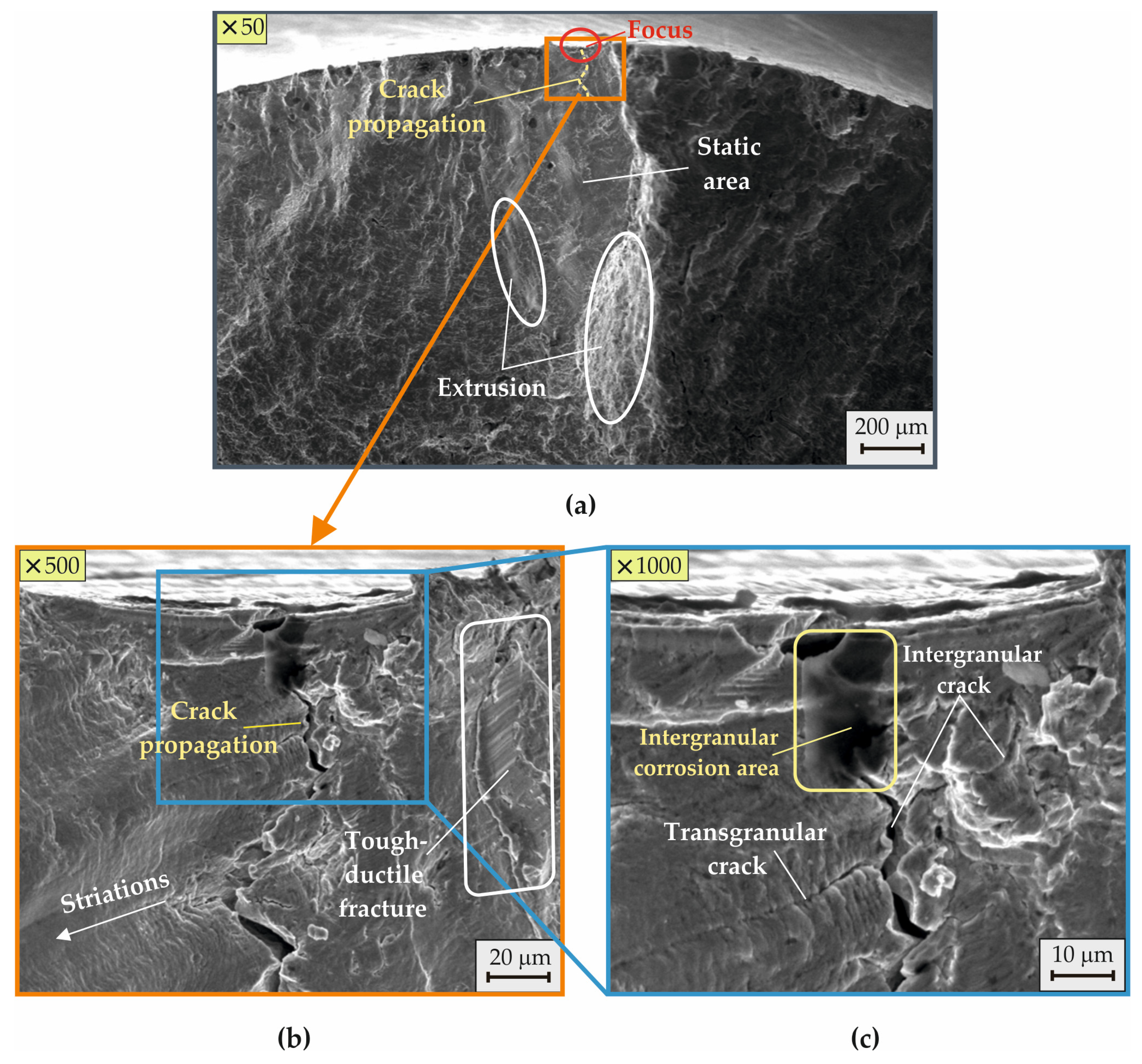 Coatings 15 00031 g016
