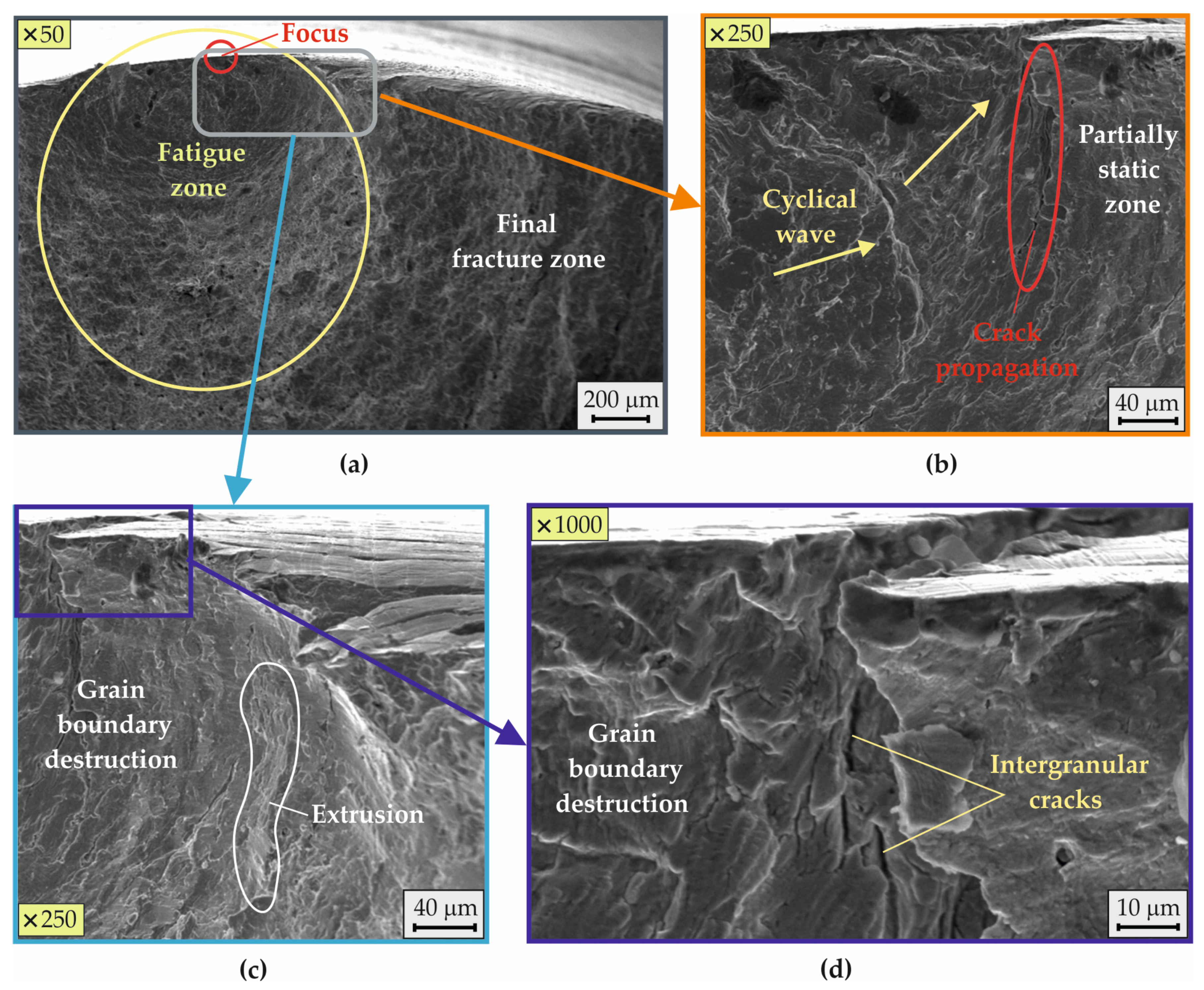 Coatings 15 00031 g017