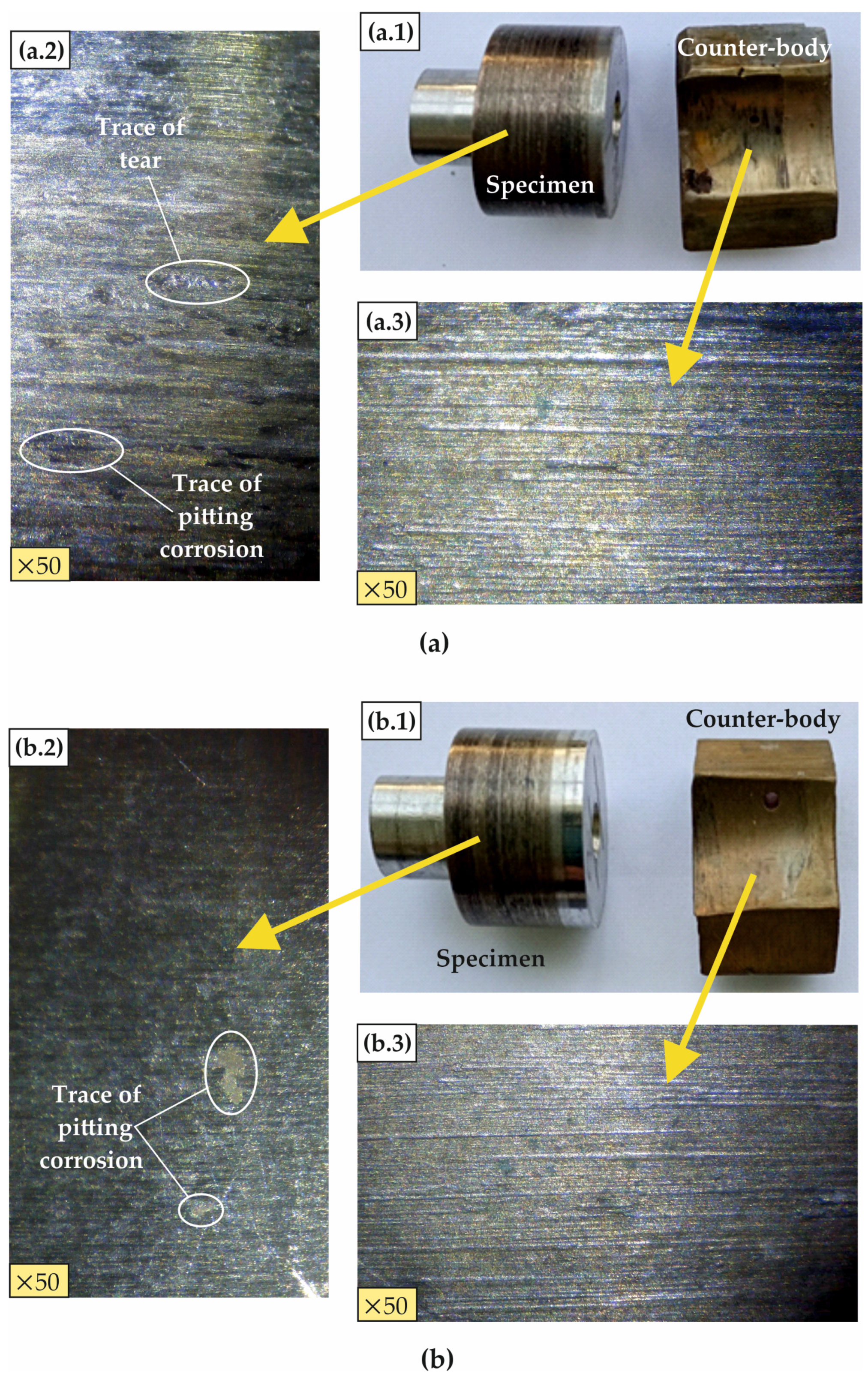 Coatings 15 00031 g020