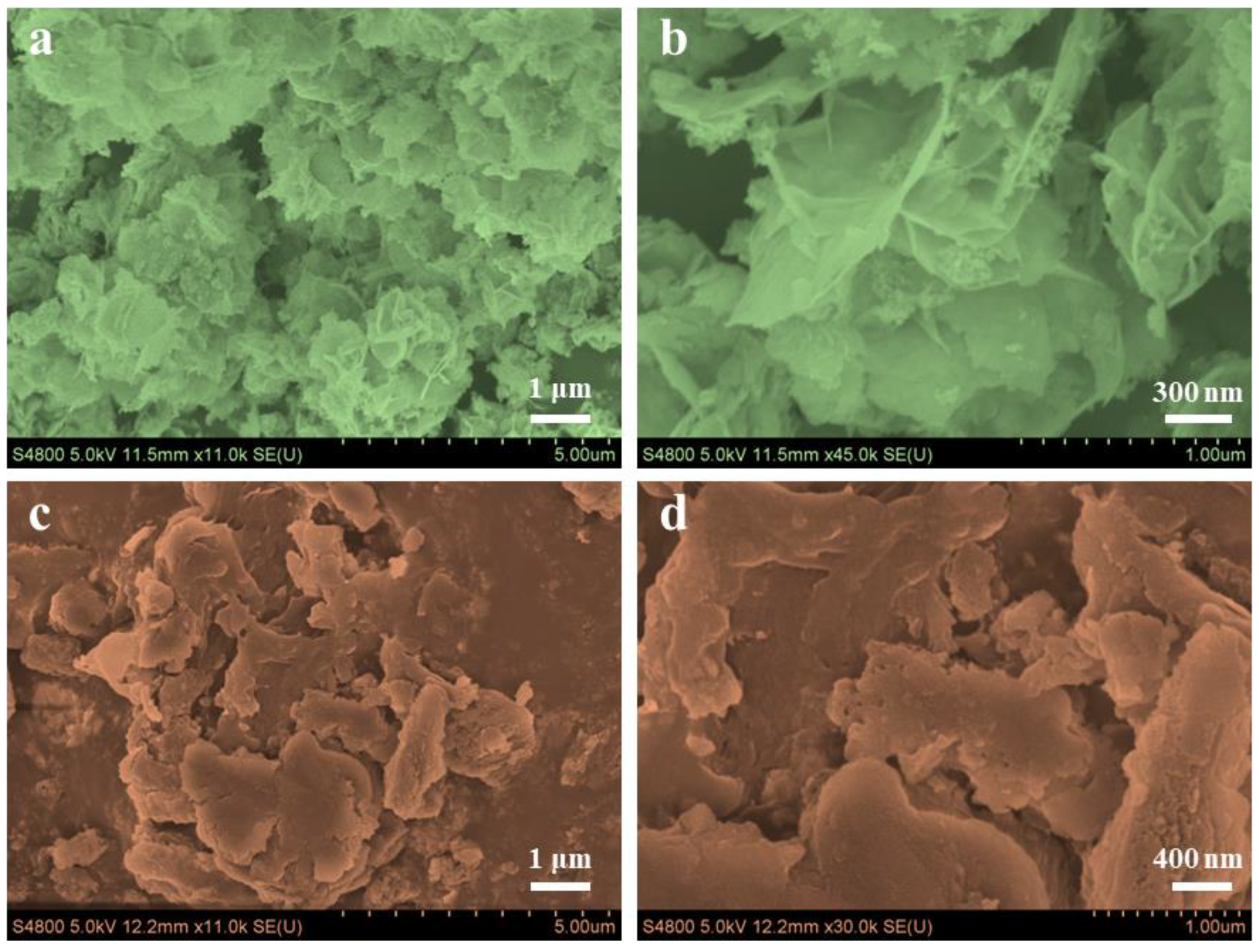 Coatings 15 00032 g003