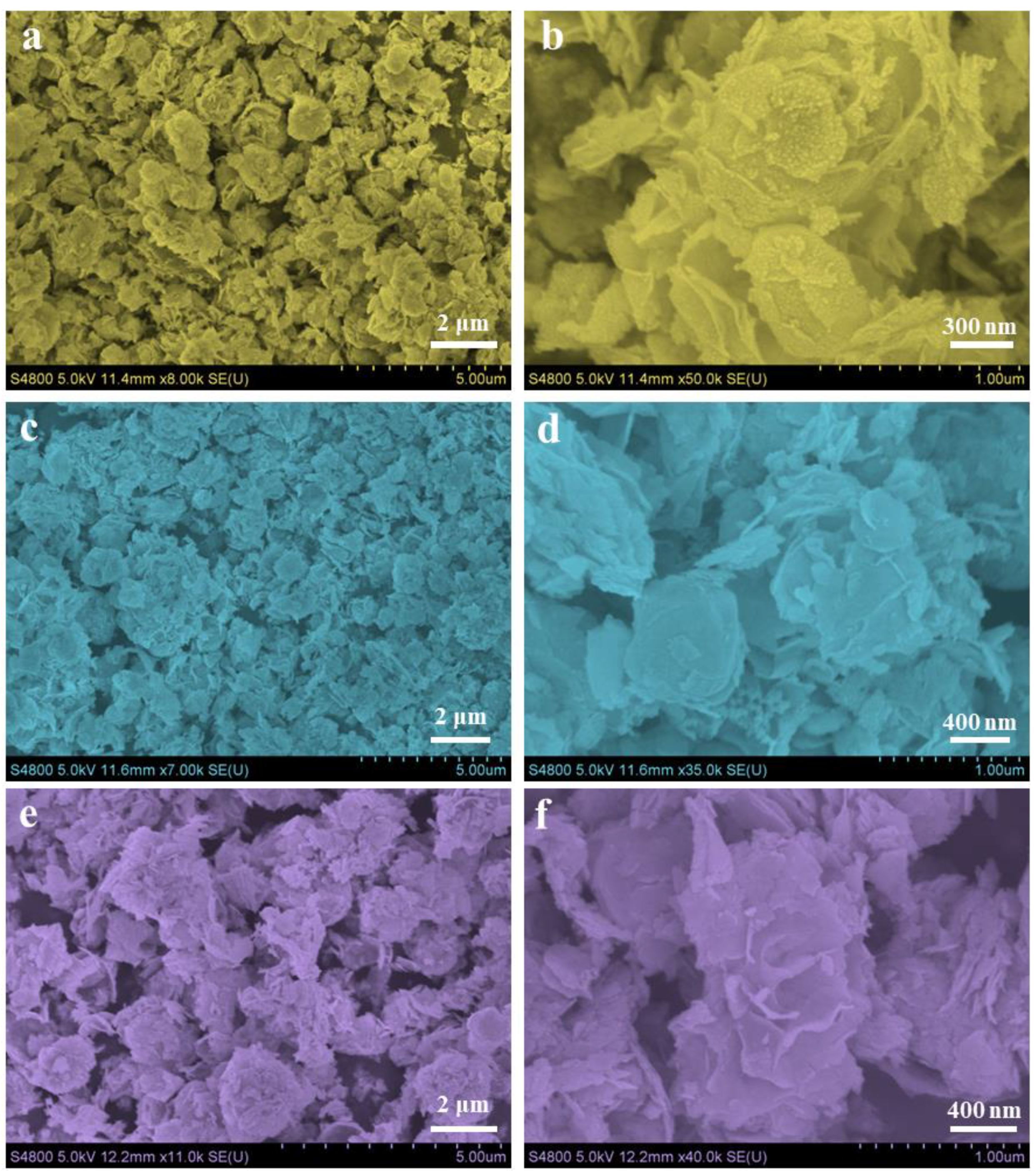 Coatings 15 00032 g004