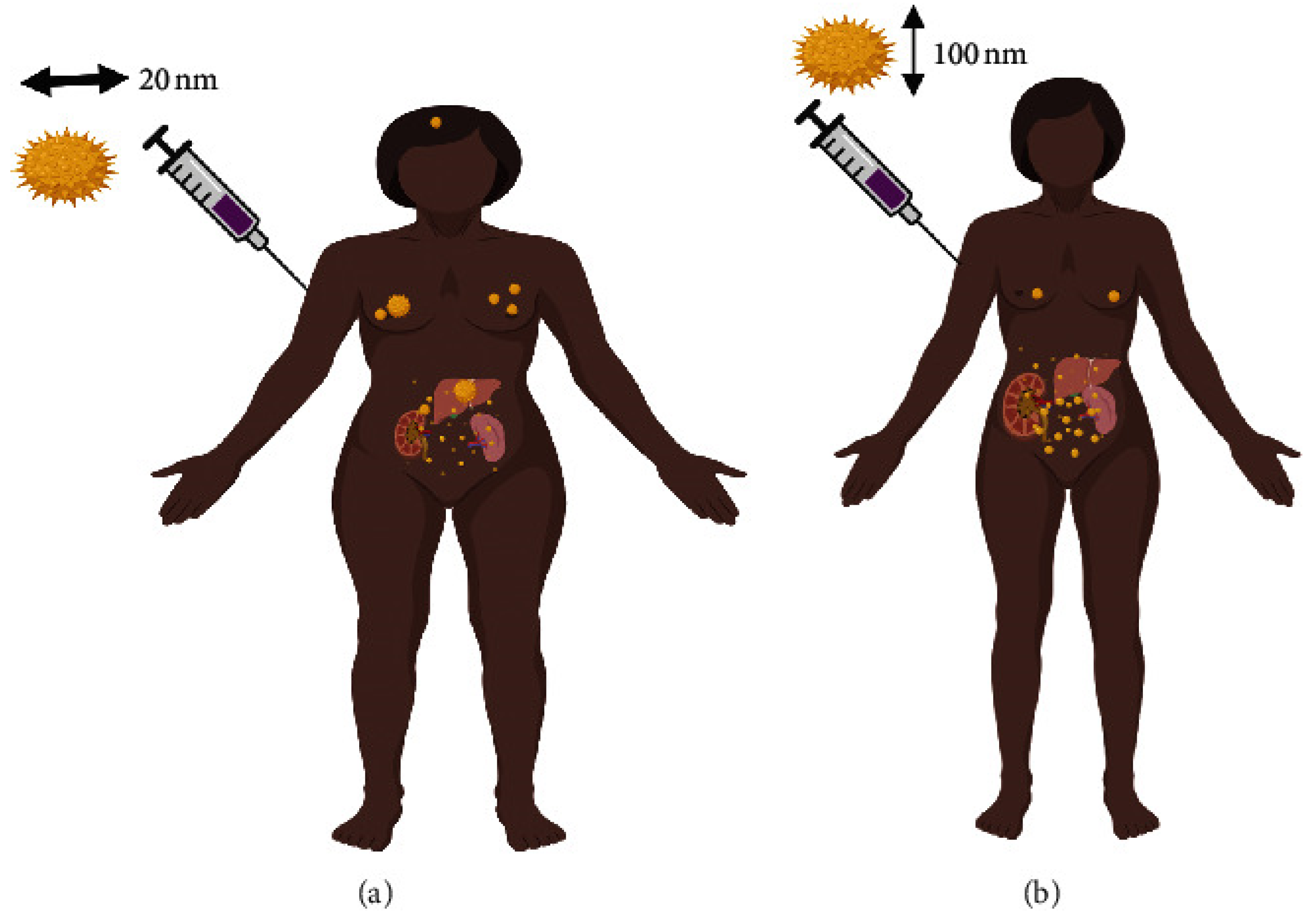 Coatings 15 00033 g005