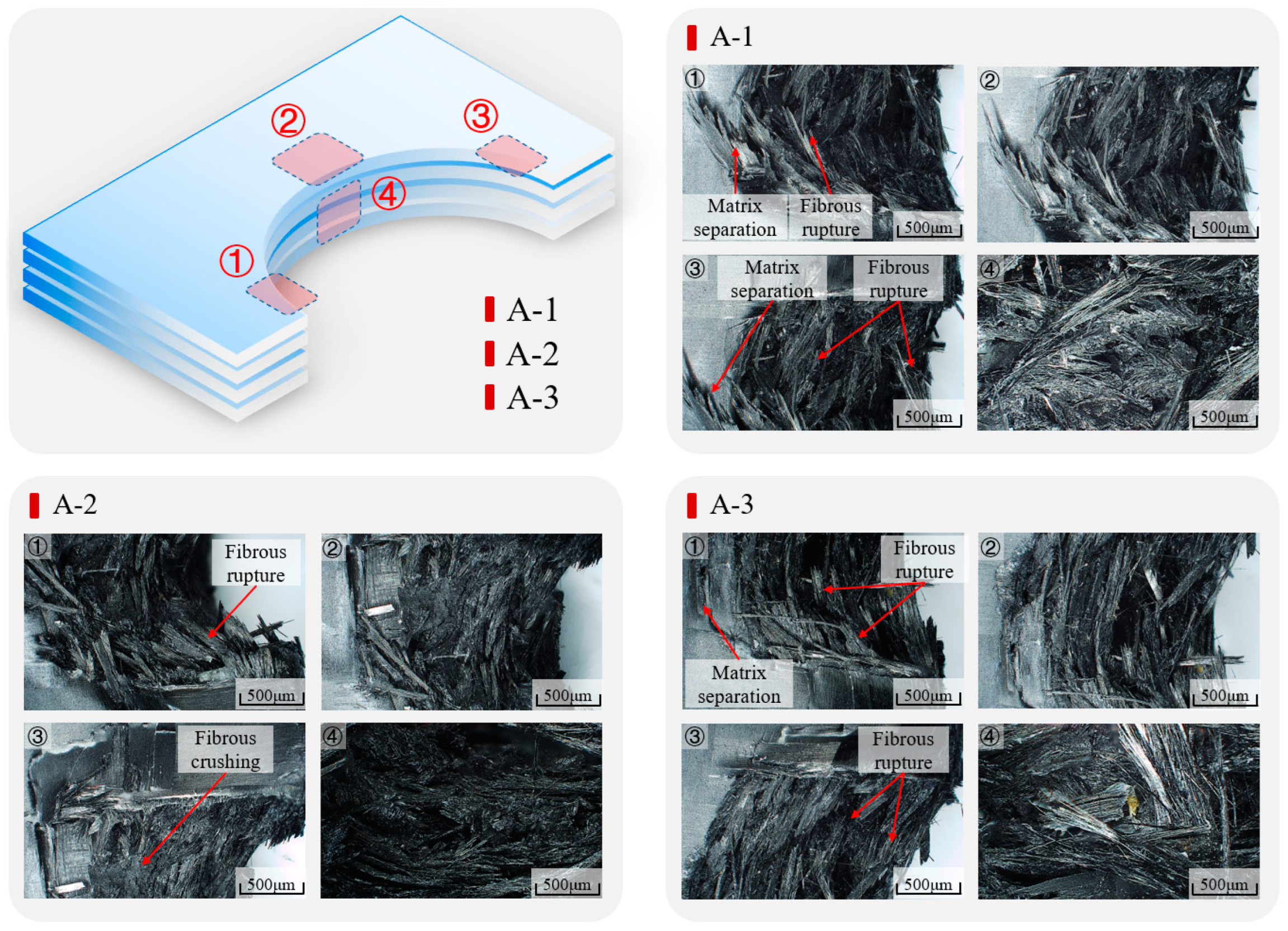 Coatings 15 00035 g008
