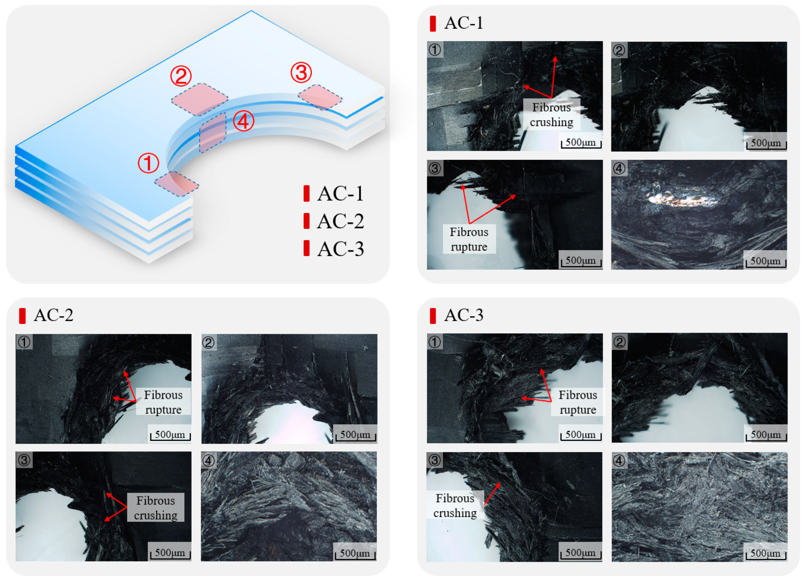 Coatings 15 00035 g012