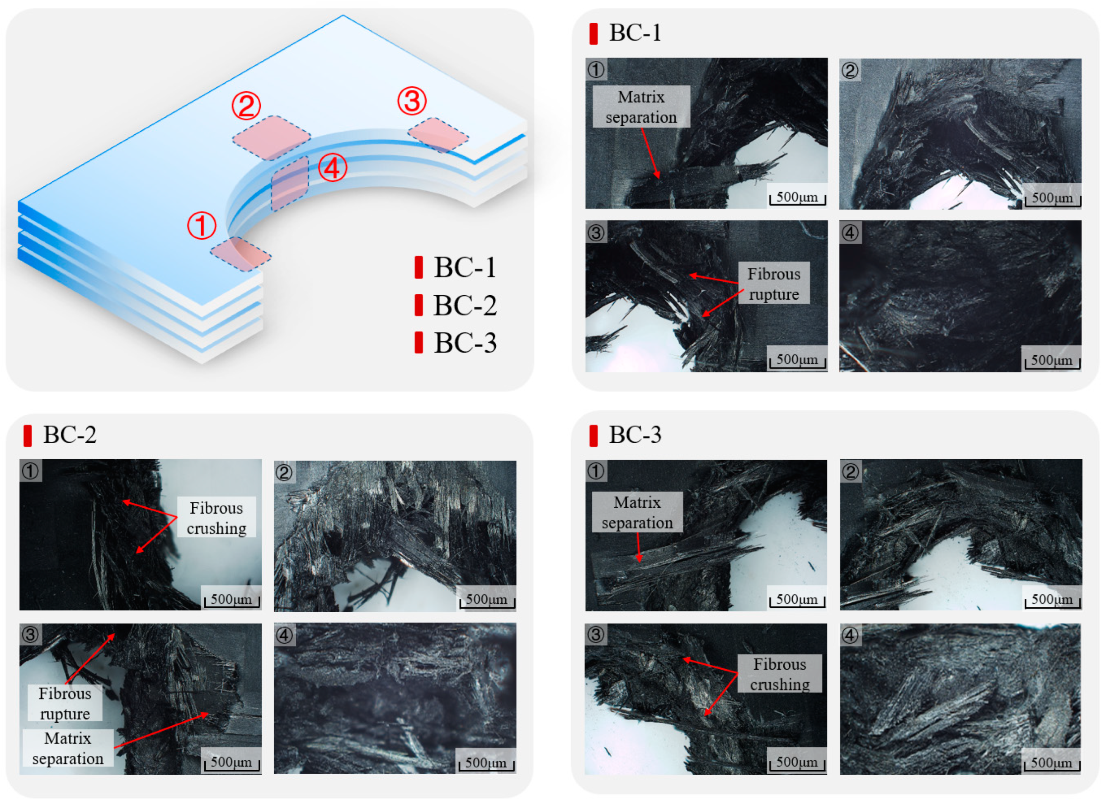 Coatings 15 00035 g013