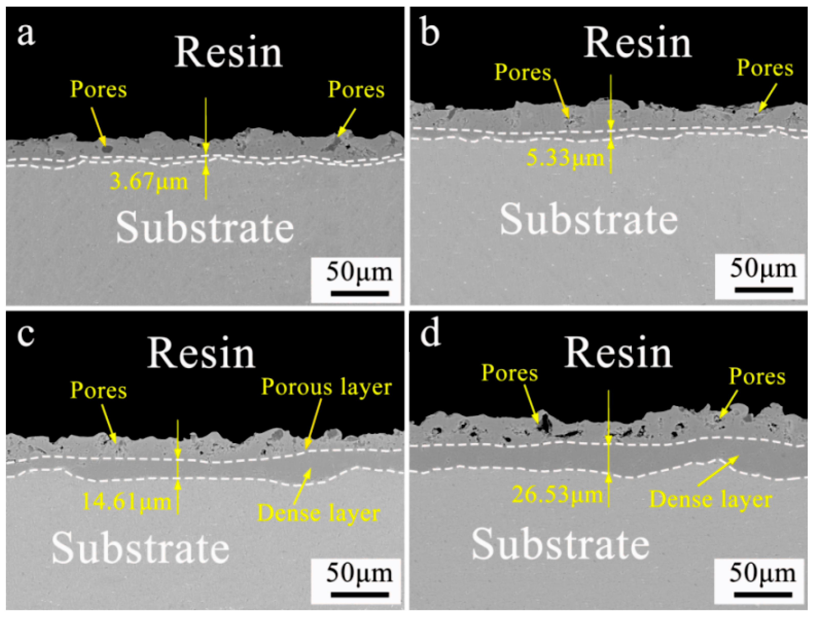 Coatings 15 00036 g003