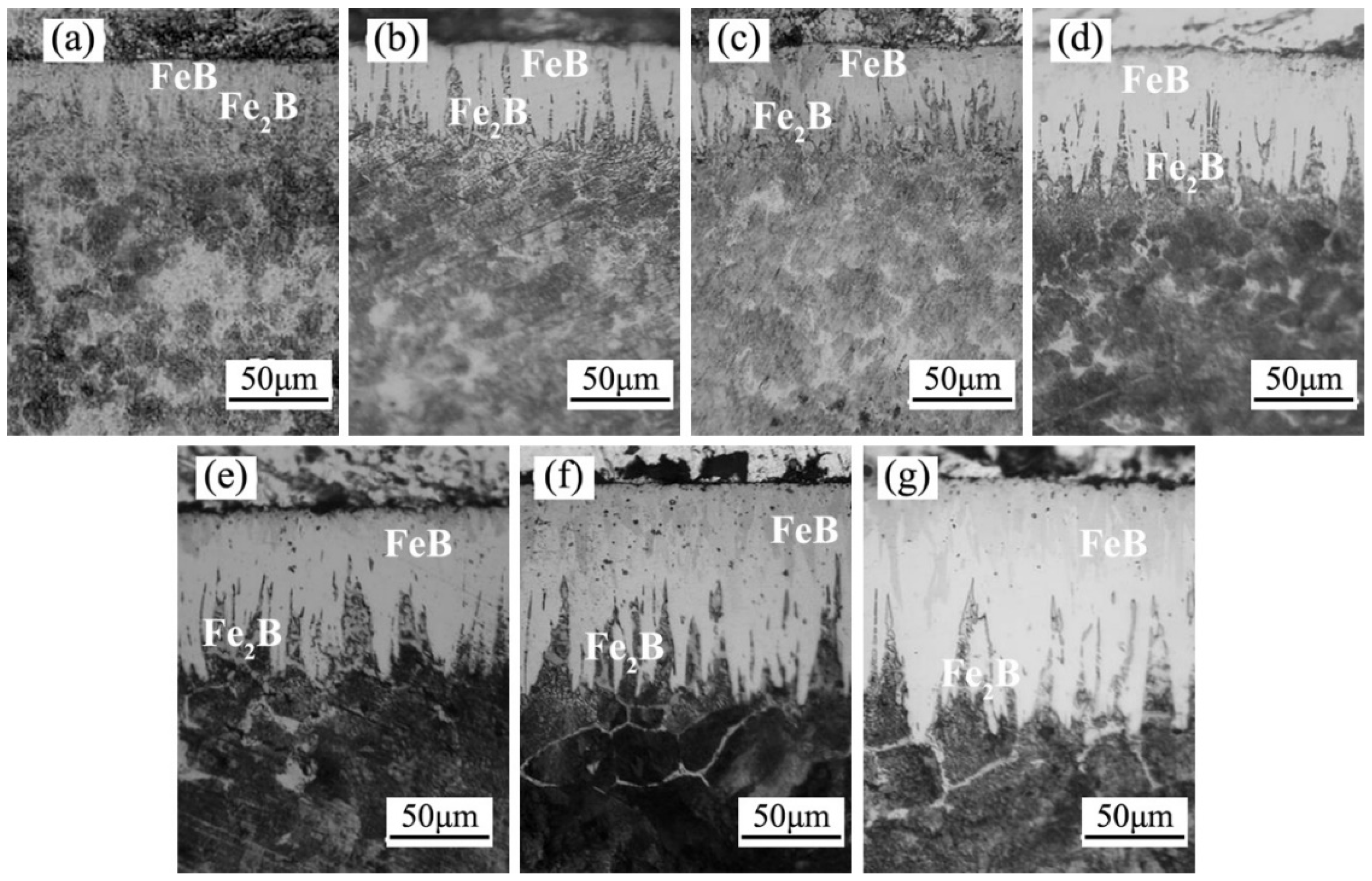 Coatings 15 00039 g002