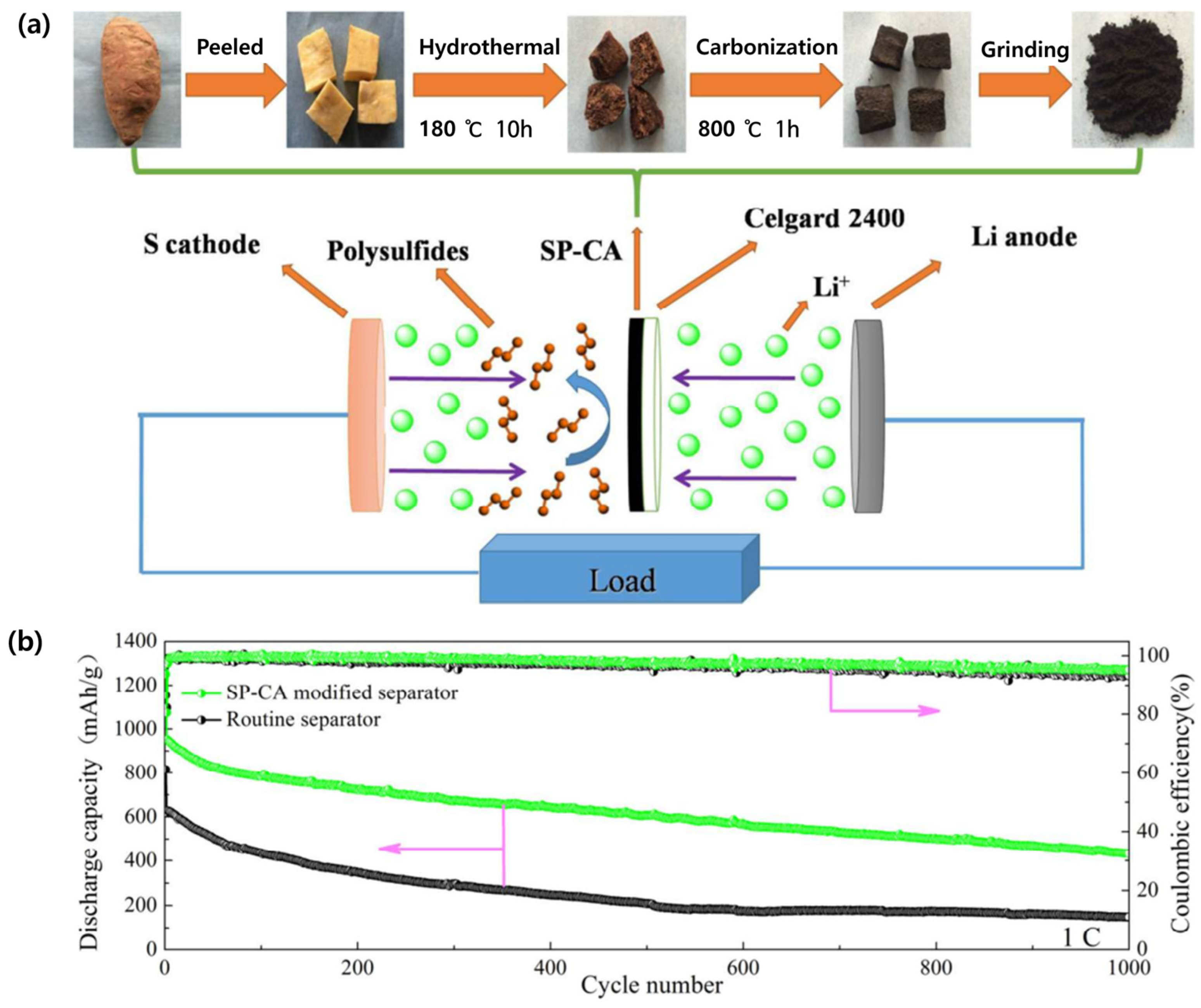 Coatings 15 00043 g005